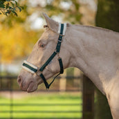 Agradi Horse Halster First Fir Green