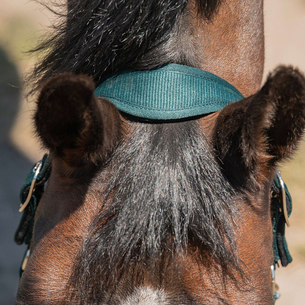 Agradi Horse Halster Athletic Fir Green