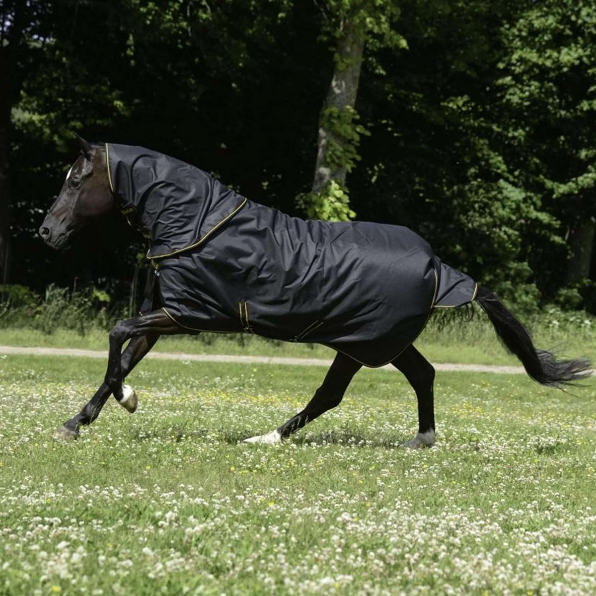 Bucas Halsstuk Irish Turnout Combi Neck 300g Black/Gold