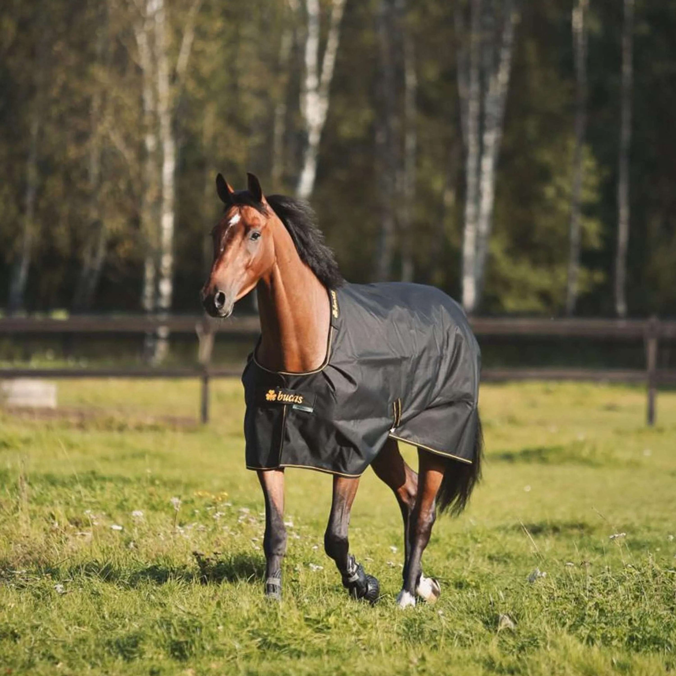 Bucas Irish Turnout 100g Black/Gold