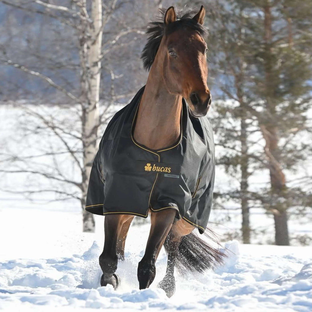 Bucas Irish Turnout 250g Black/Gold