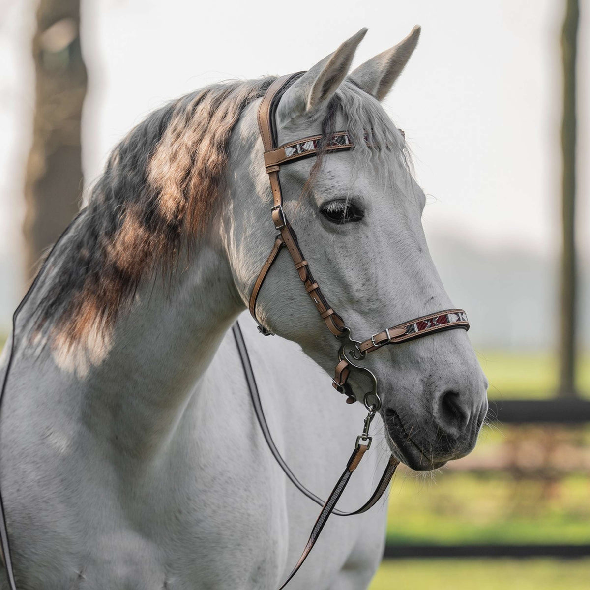 F.R.A. Bitloos Hoofdstel Esprit Natuur