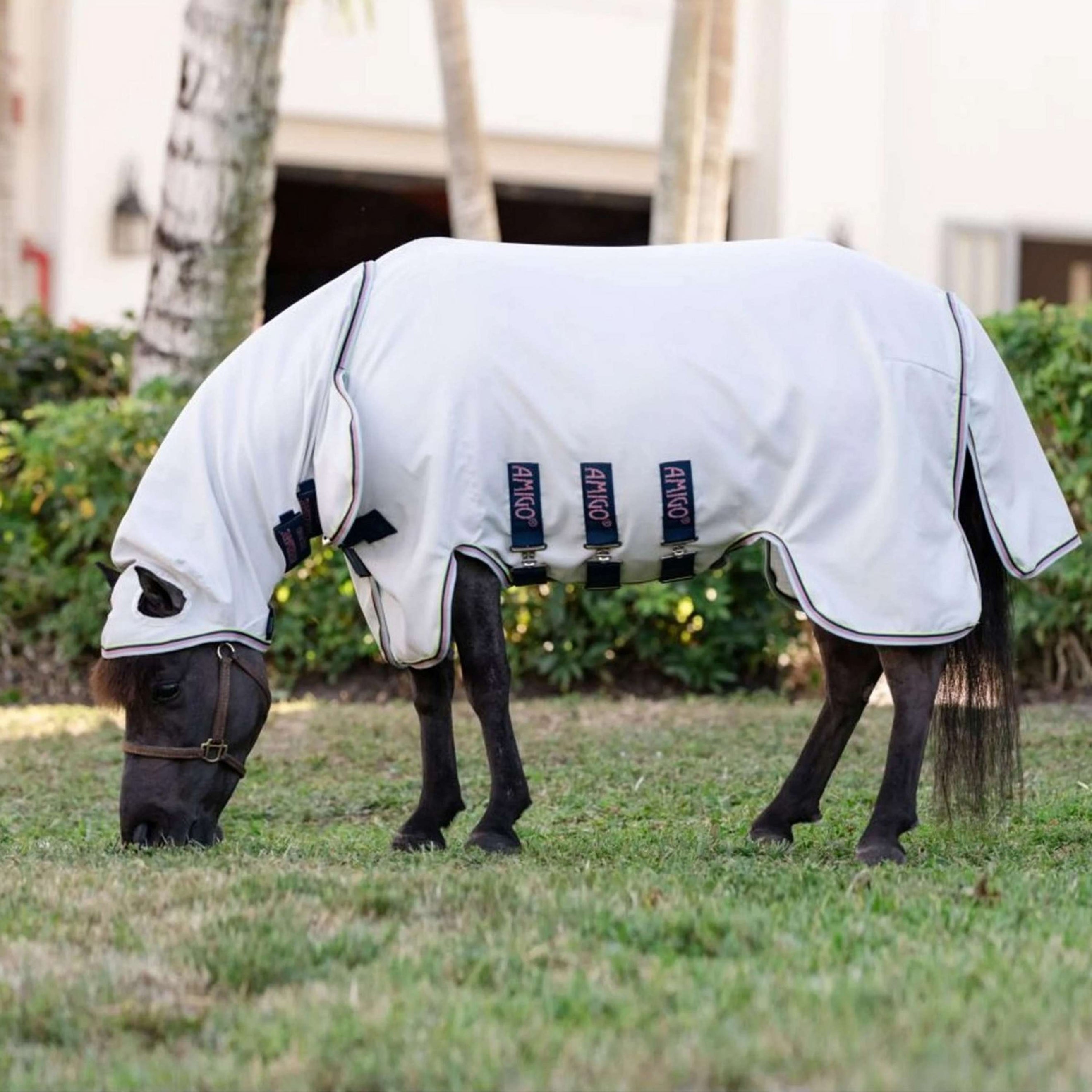 Amigo Ripstop Hoody Petite Silver/Lime/Navy/Pink/Blue Amigo Ripstop Hoody Petite Silver/Lime/Navy/Pink/Blue