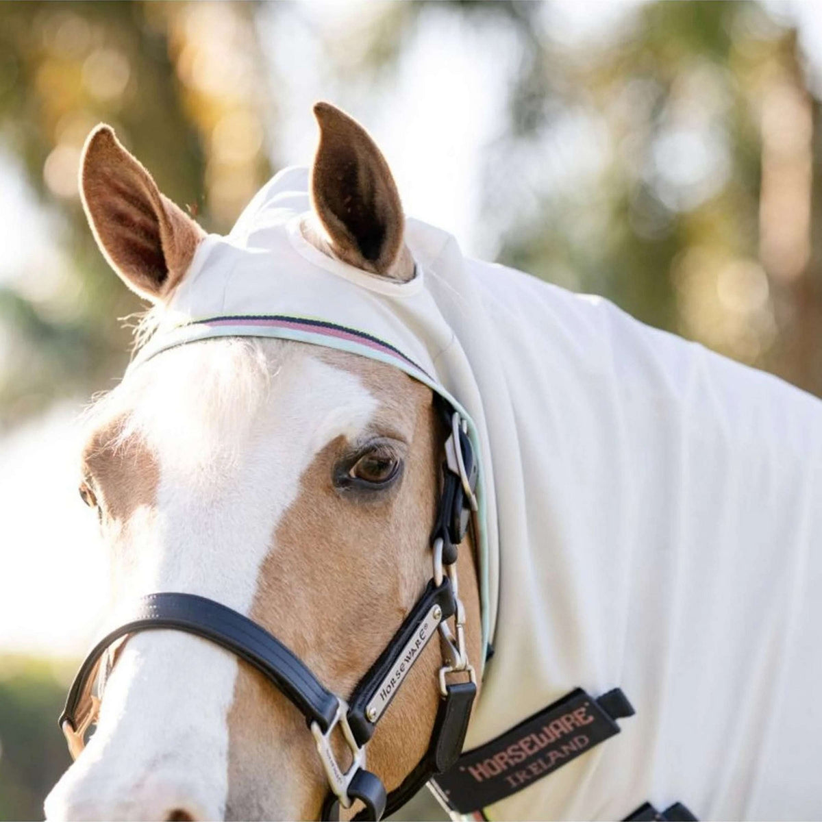 Amigo Ripstop Hoody Pony Silver/Lime/Navy/Pink/Blue