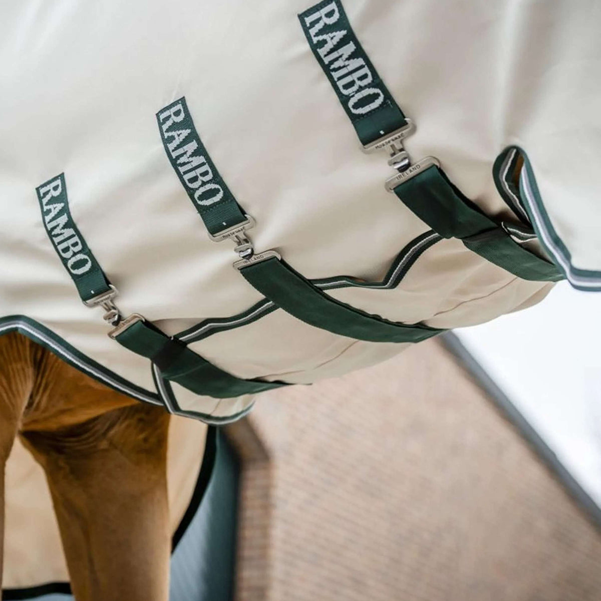 Rambo Hoody Chalk/Hunter Green/Silver