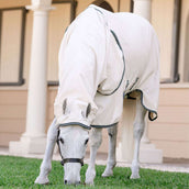 Rambo Hoody Pony Chalk/Hunter Green/Silver