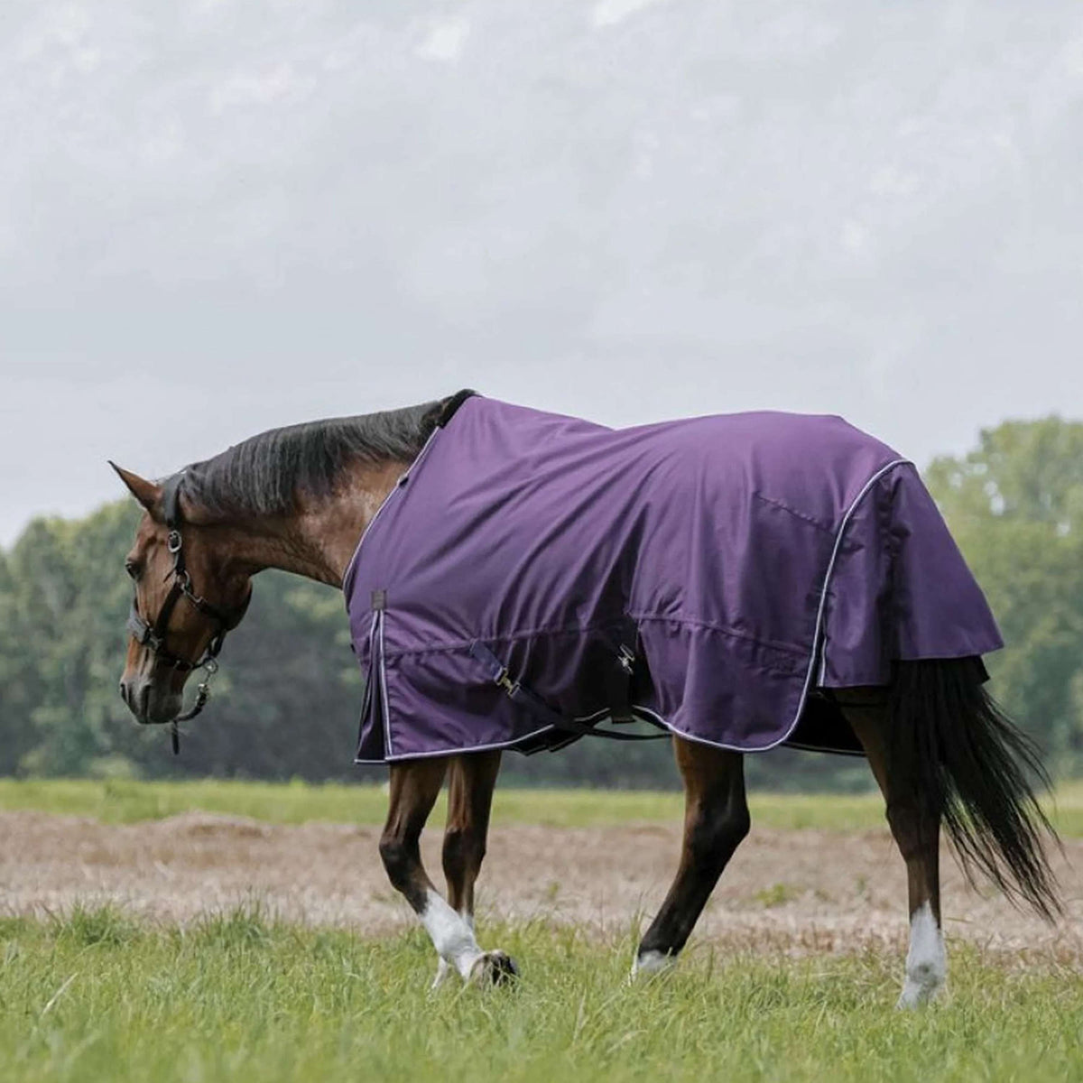 EQUITHÈME Outdoordeken Tyrex Aisance 600D 0g