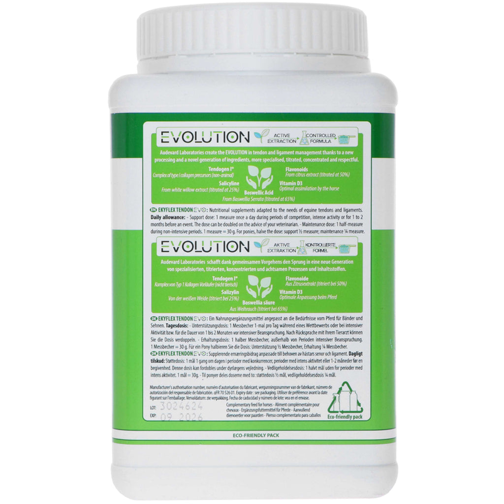 Audevard Ekyflex Tendon Evo