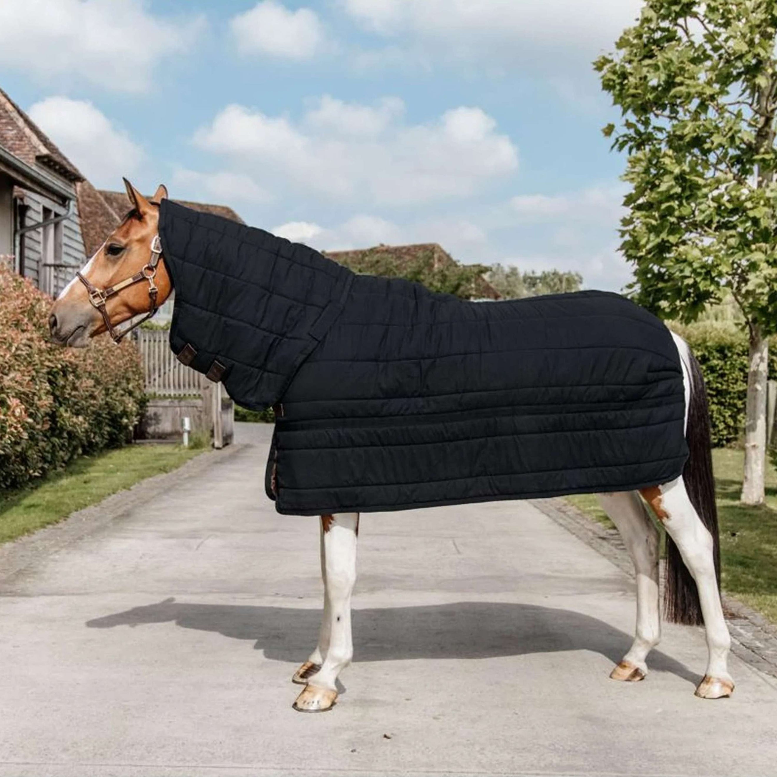 Kentucky Onderdeken Skin Friendly Neck 150g Zwart