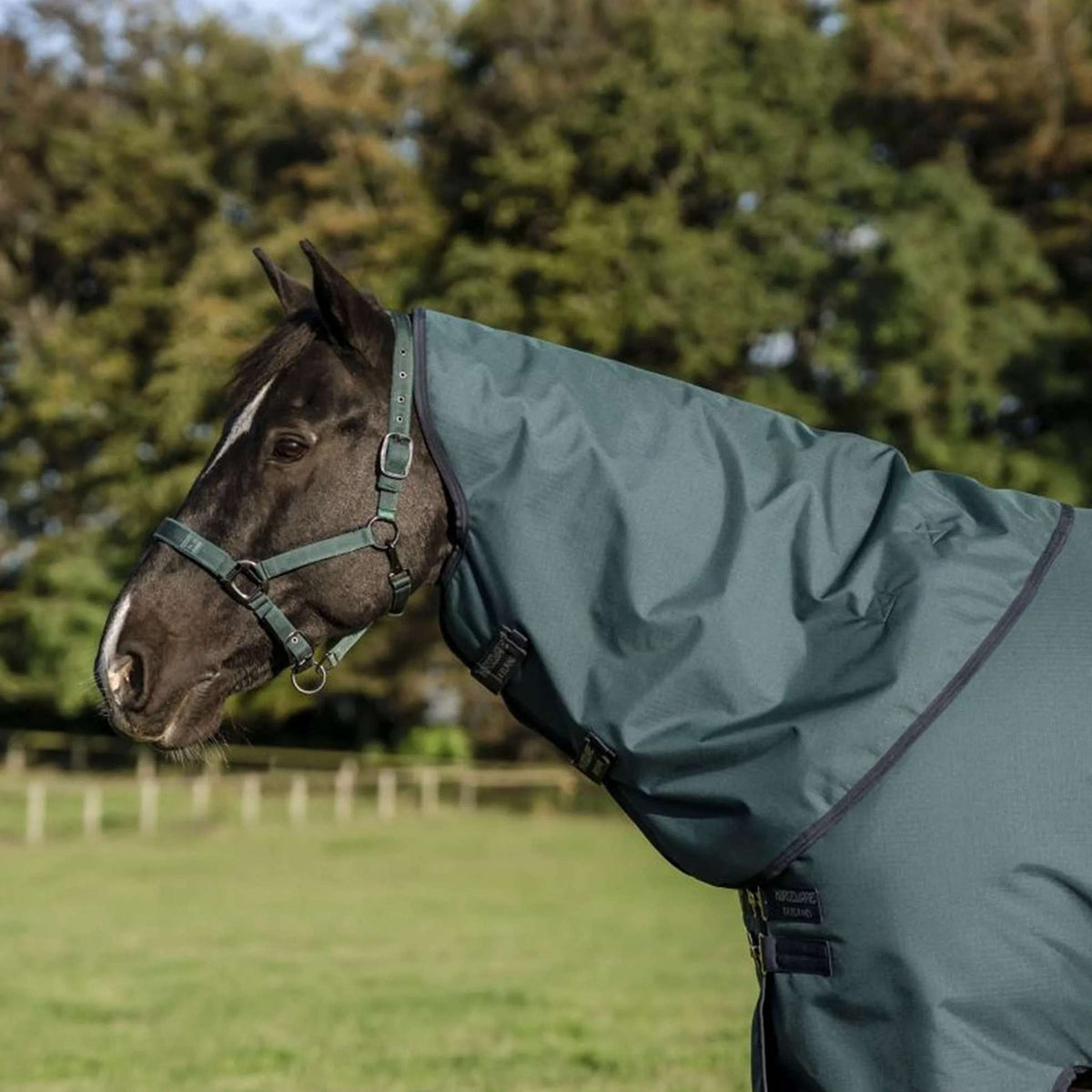 Amigo Halsstuk Ripstop 900D 150g Dynasty Green/Navy/Silver