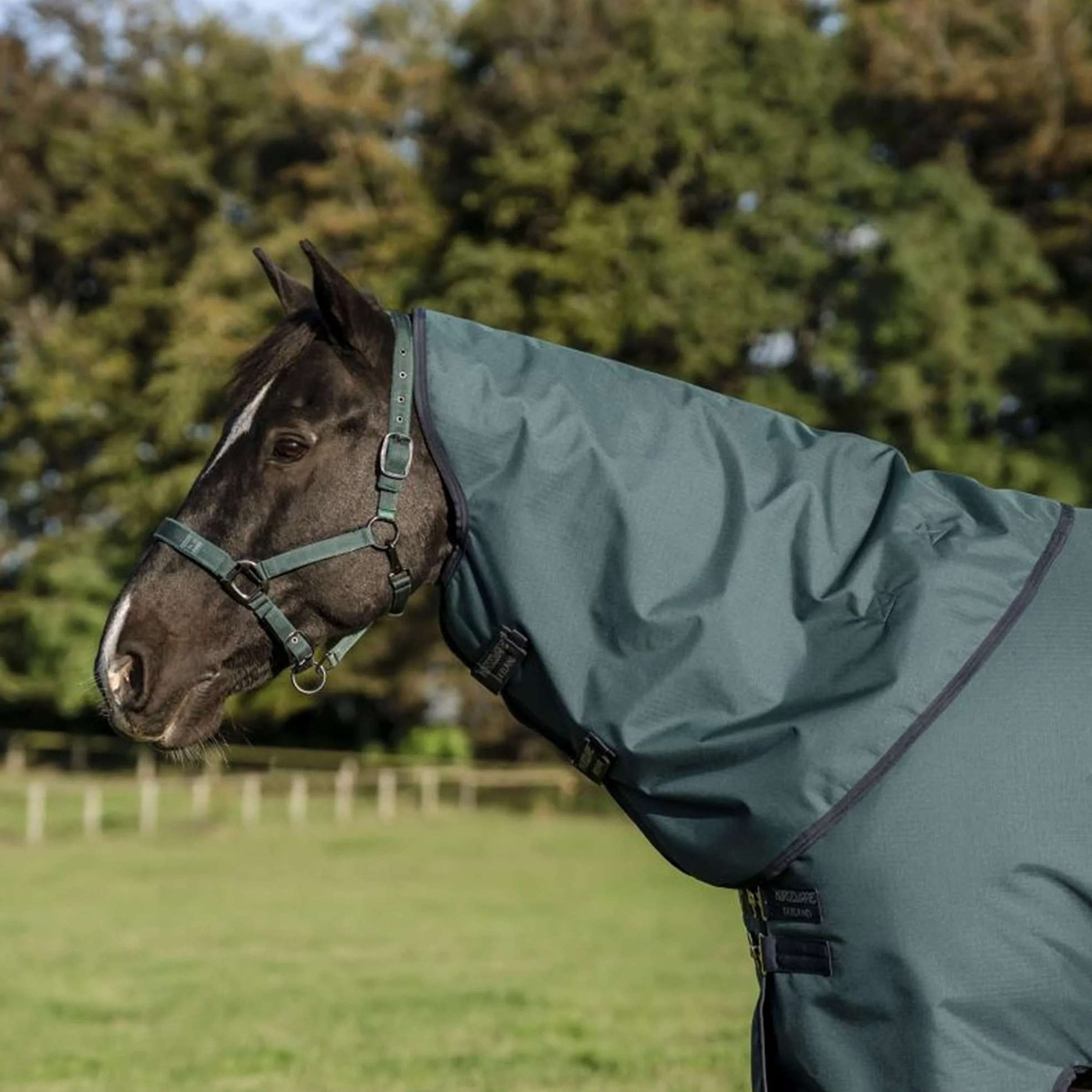 Amigo Halsstuk Ripstop 900D 150g Dynasty Green/Navy/Silver