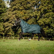 Amigo Halsstuk Ripstop 900D 150g Dynasty Green/Navy/Silver