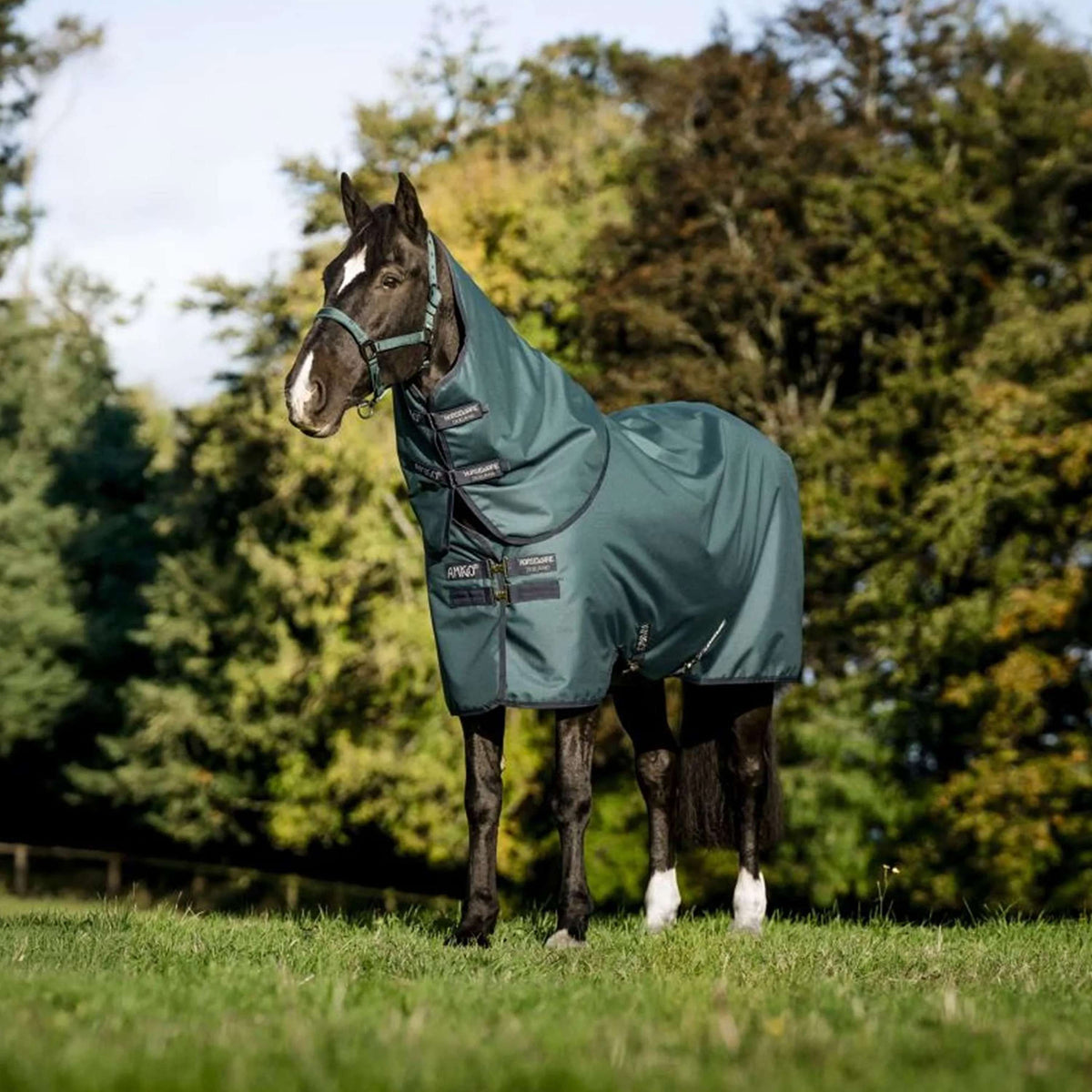 Amigo Ripstop 900D Plus Pony 50g Dynasty Green/Navy/Silver