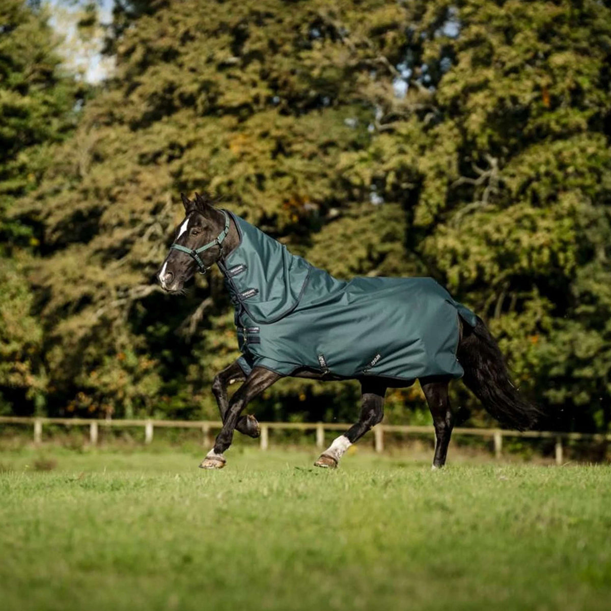 Amigo Ripstop 900D Plus Pony 200g Dynasty Green/Navy/Silver