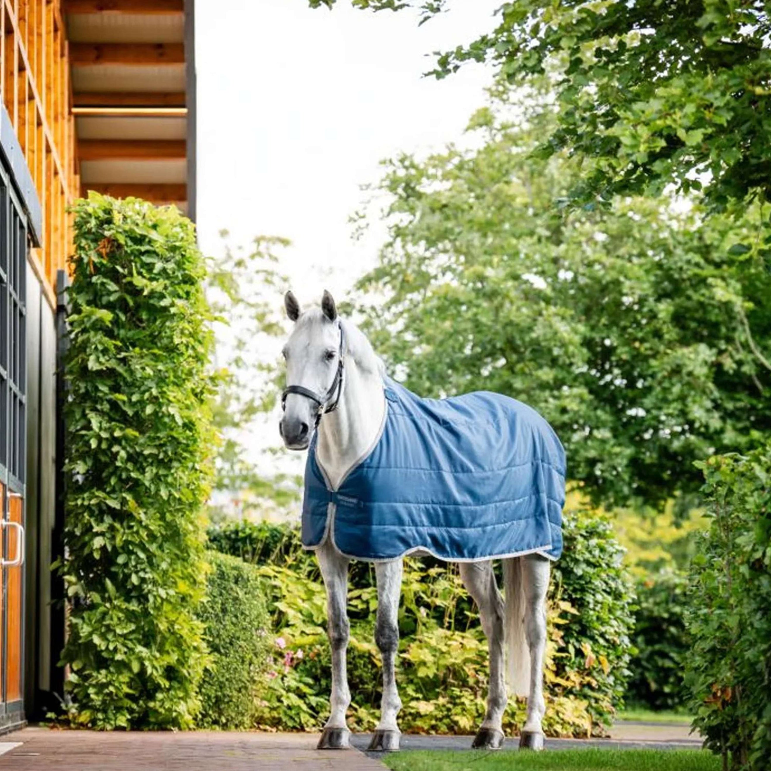 Horseware Ionic Therapy Liner 200g Imperial Blue/Silver/Navy Horseware Ionic Therapy Liner 200g Imperial Blue/Silver/Navy