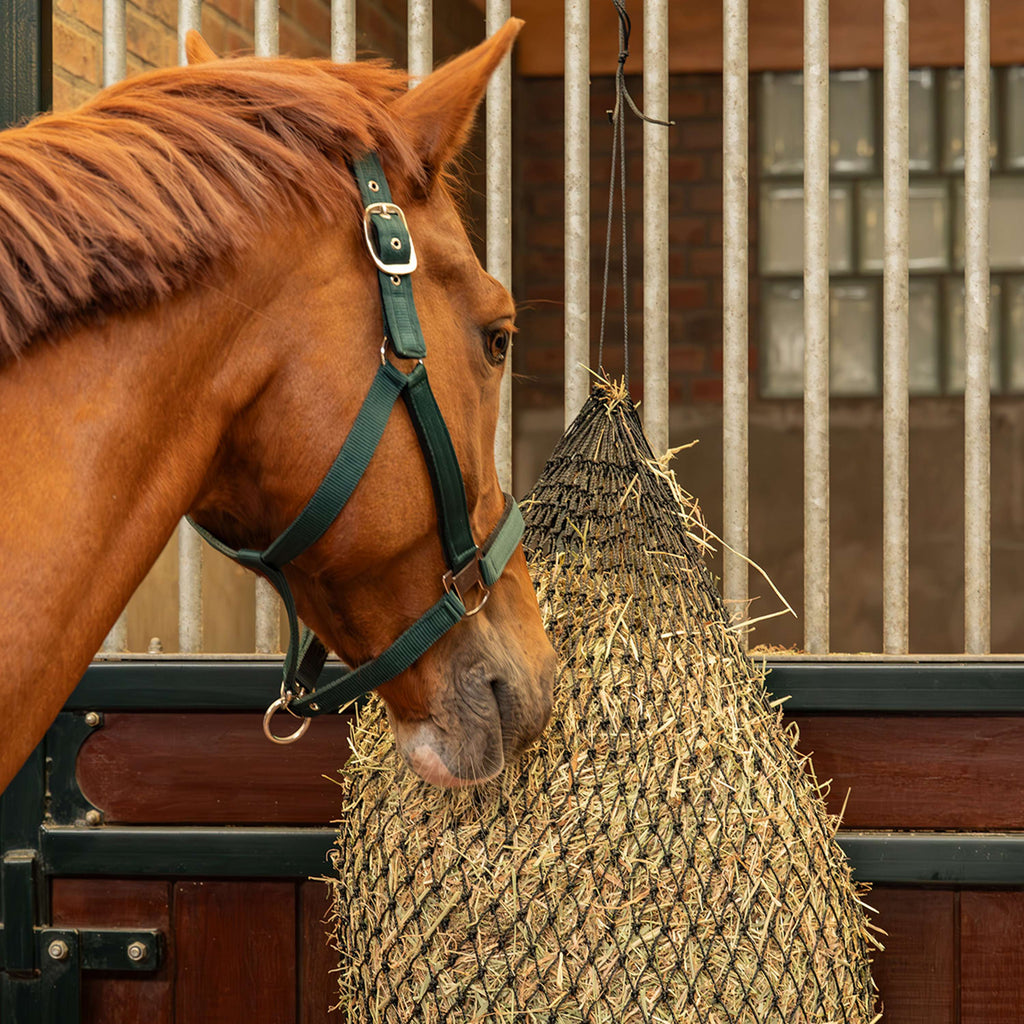 Agradi Horse Hooinet Greedy Maas 2,5x2,5cm Zwart