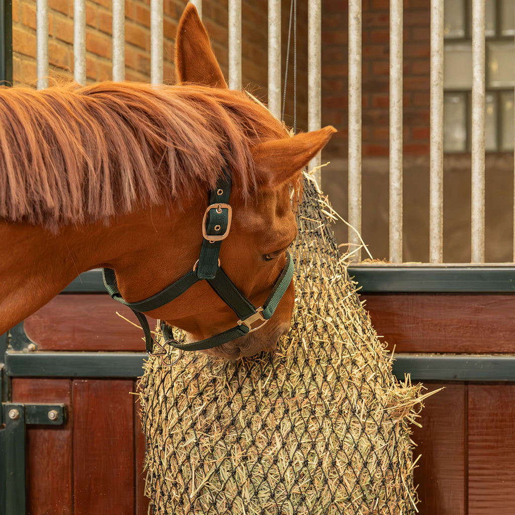 Agradi Horse Hooinet Greedy Maas 2,5x2,5cm Zwart