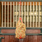 Agradi Horse Hooinet Standaard Grove Maas 8x8cm Rood