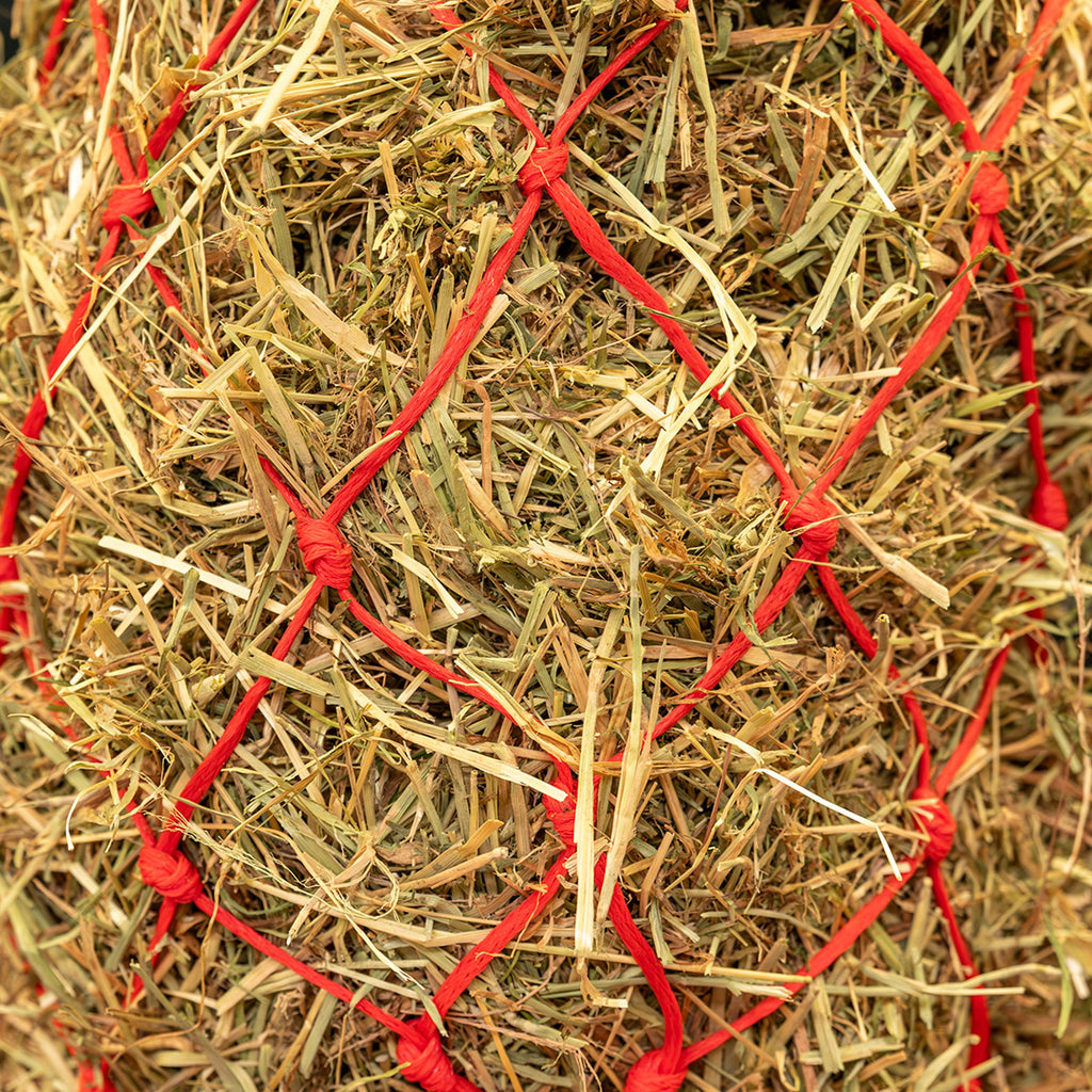 Agradi Horse Hooinet Standaard Grove Maas 8x8cm Rood