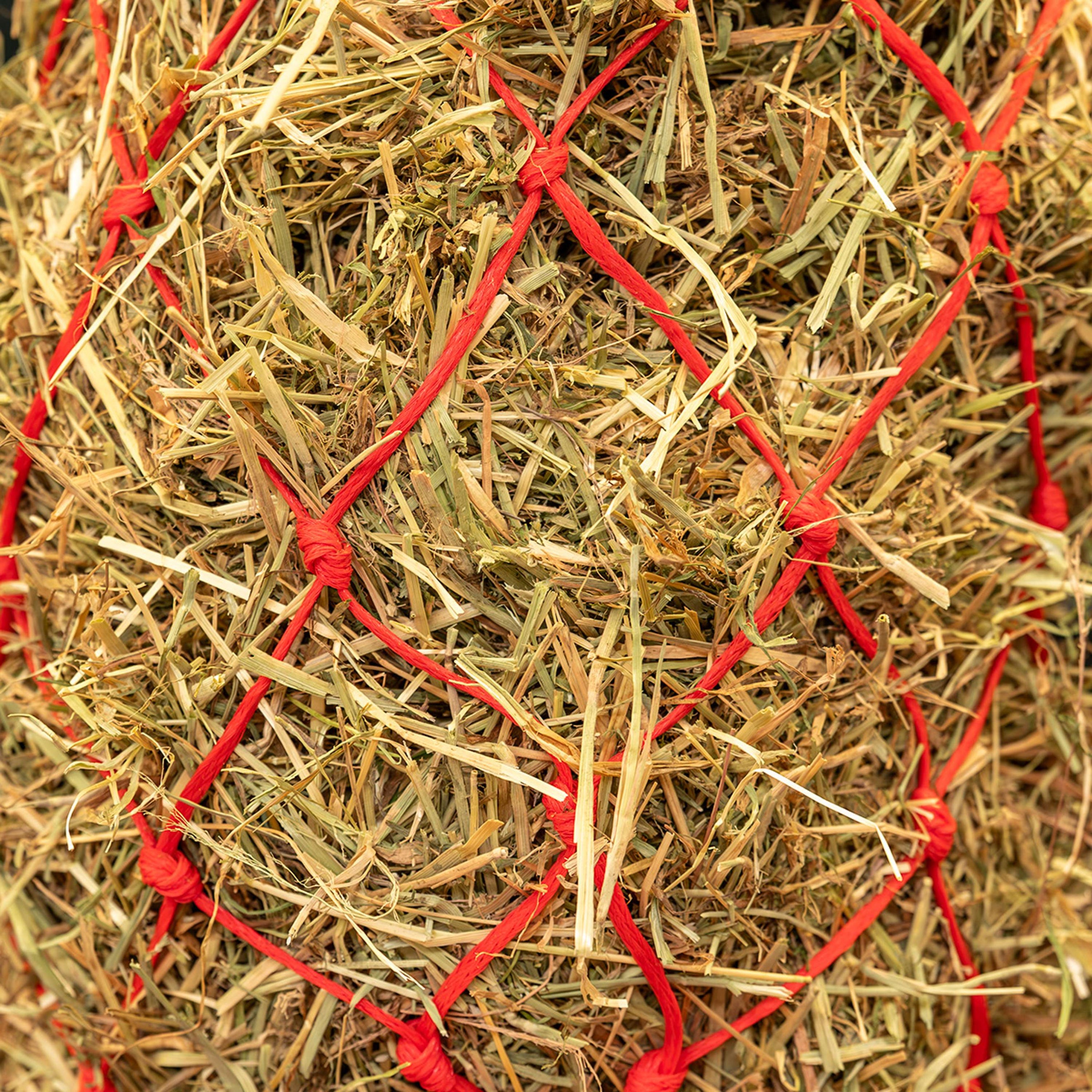 Agradi Horse Hooinet Standaard Grove Maas 8x8cm Rood