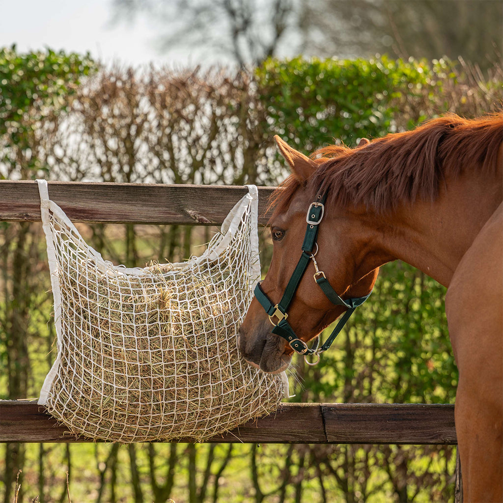 Agradi Horse Hooinet Maas 3x3cm Wit