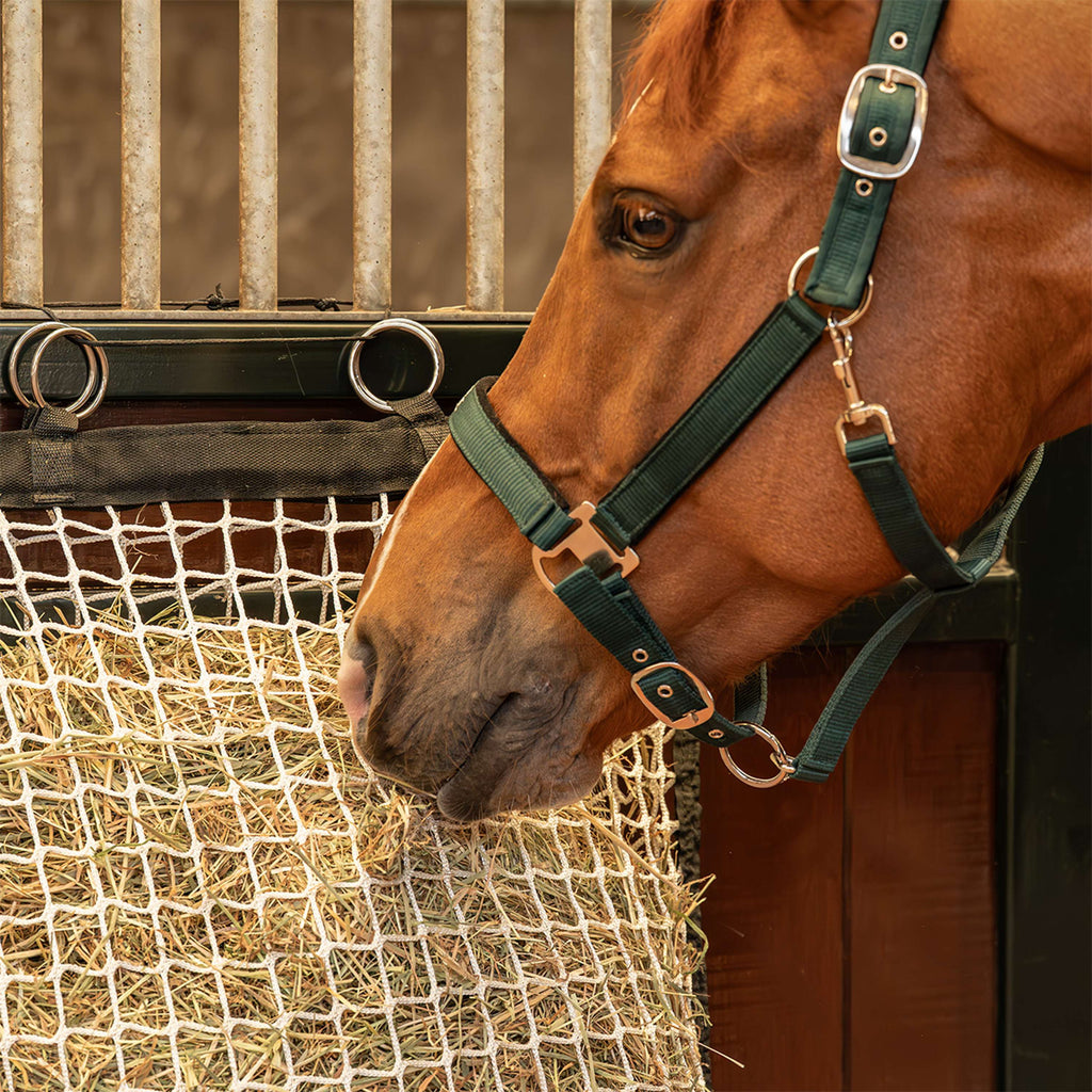 Agradi Horse Hooinet met Vulhulp Maas 3x3cm Wit