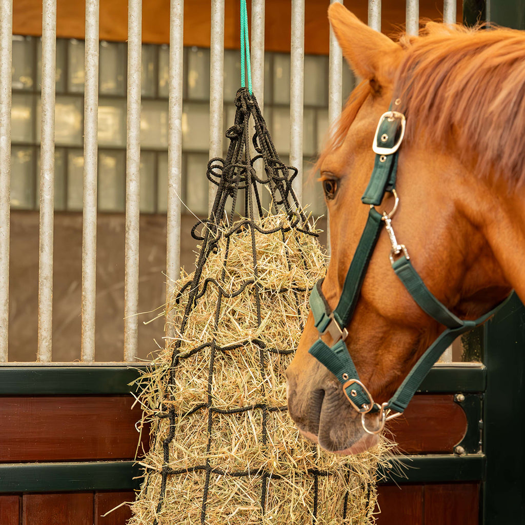 Agradi Horse Hooinet Heavy Duty Maas 10x10cm Zwart