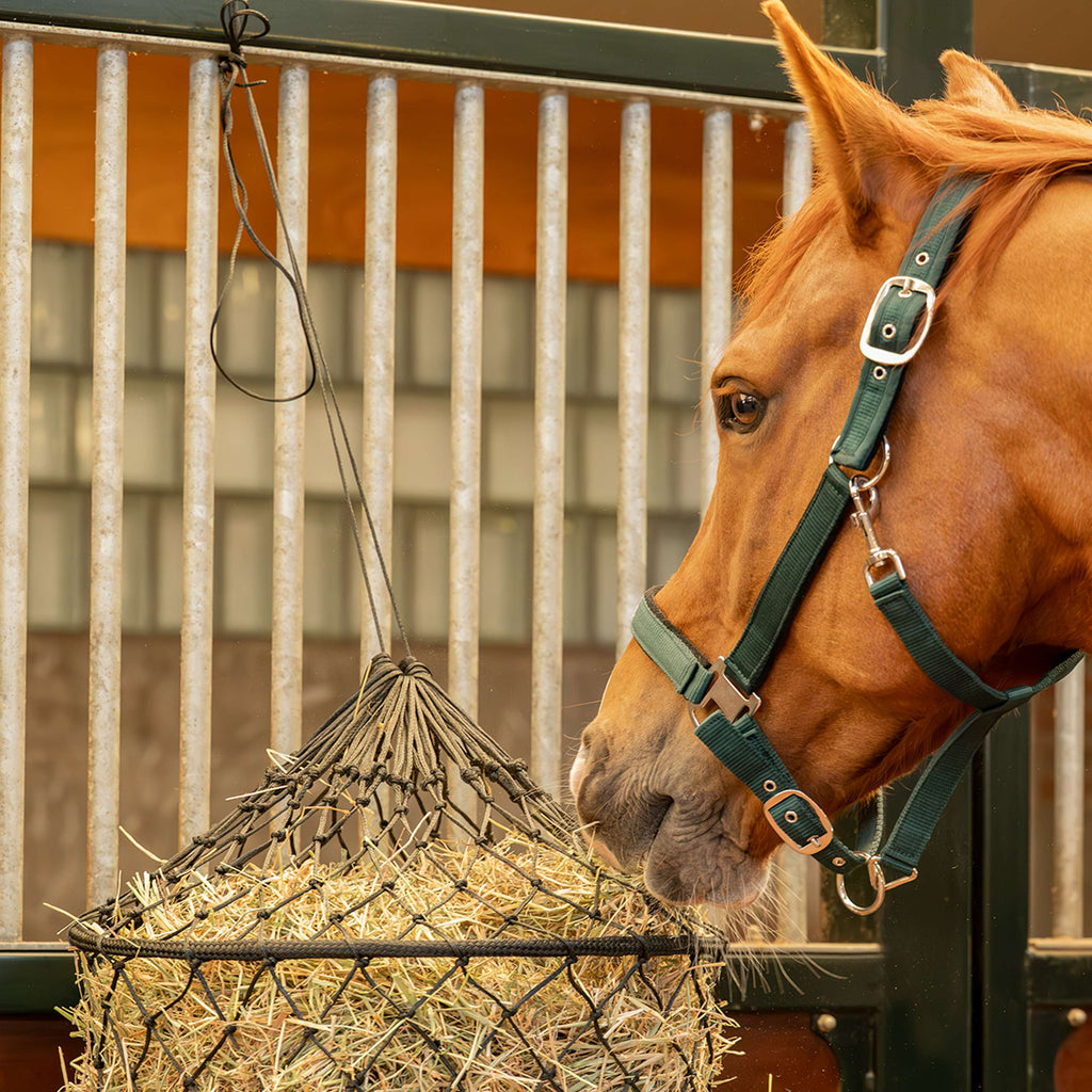 Agradi Horse Hooinet Easy Fill Maas 5x5cm Zwart