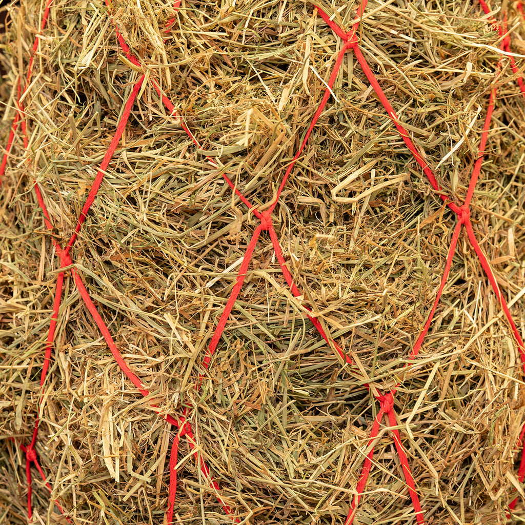 Agradi Horse Hooinet Maas 15x15cm Rood