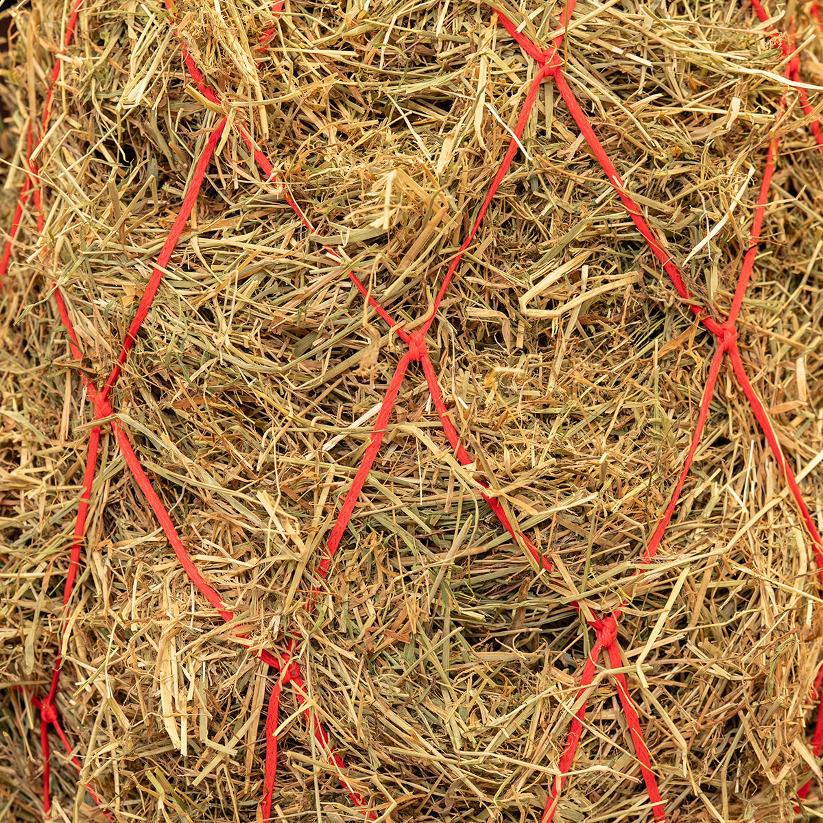 Agradi Horse Hooinet Maas 15x15cm Rood