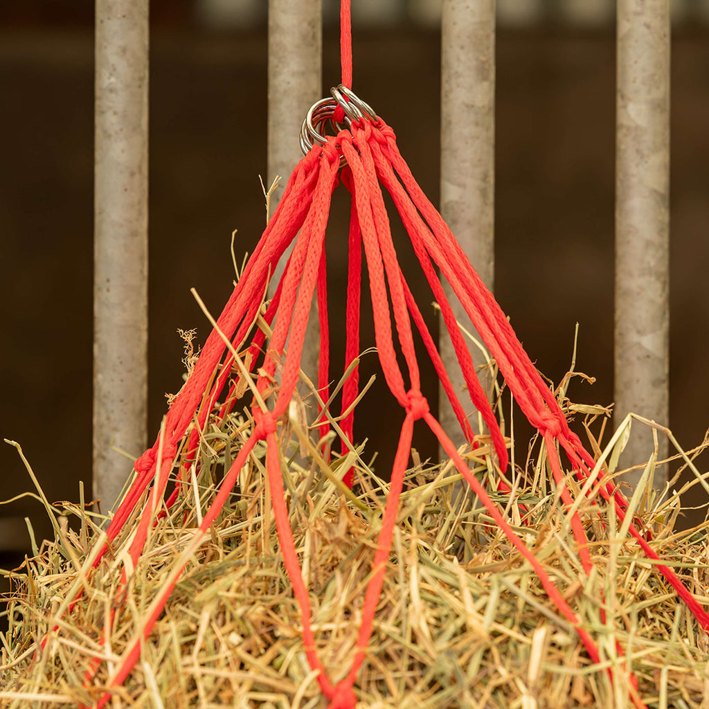Agradi Horse Hooinet Maas 15x15cm Rood