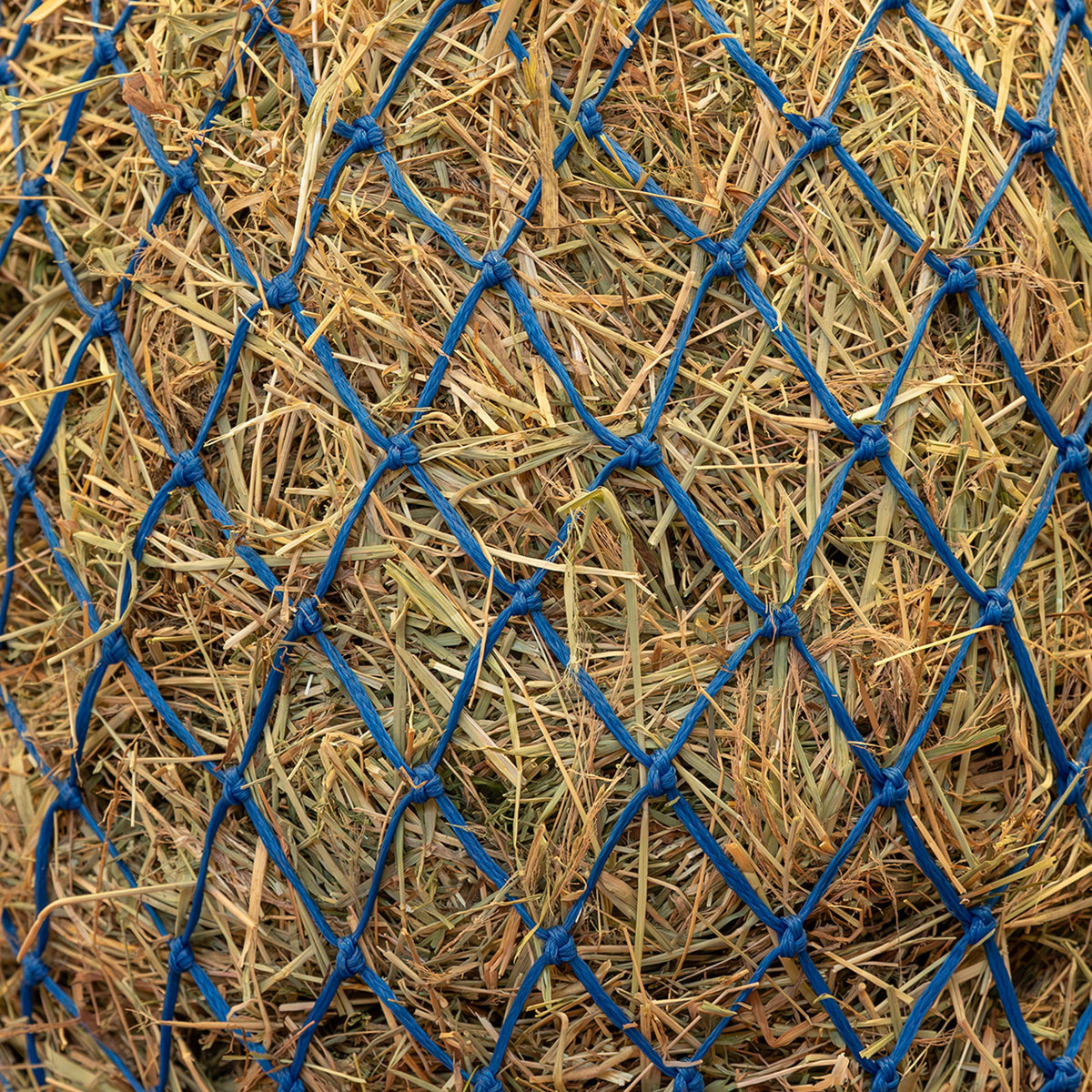 Agradi Horse Hooinet Fijne Maas 5x5cm Blauw