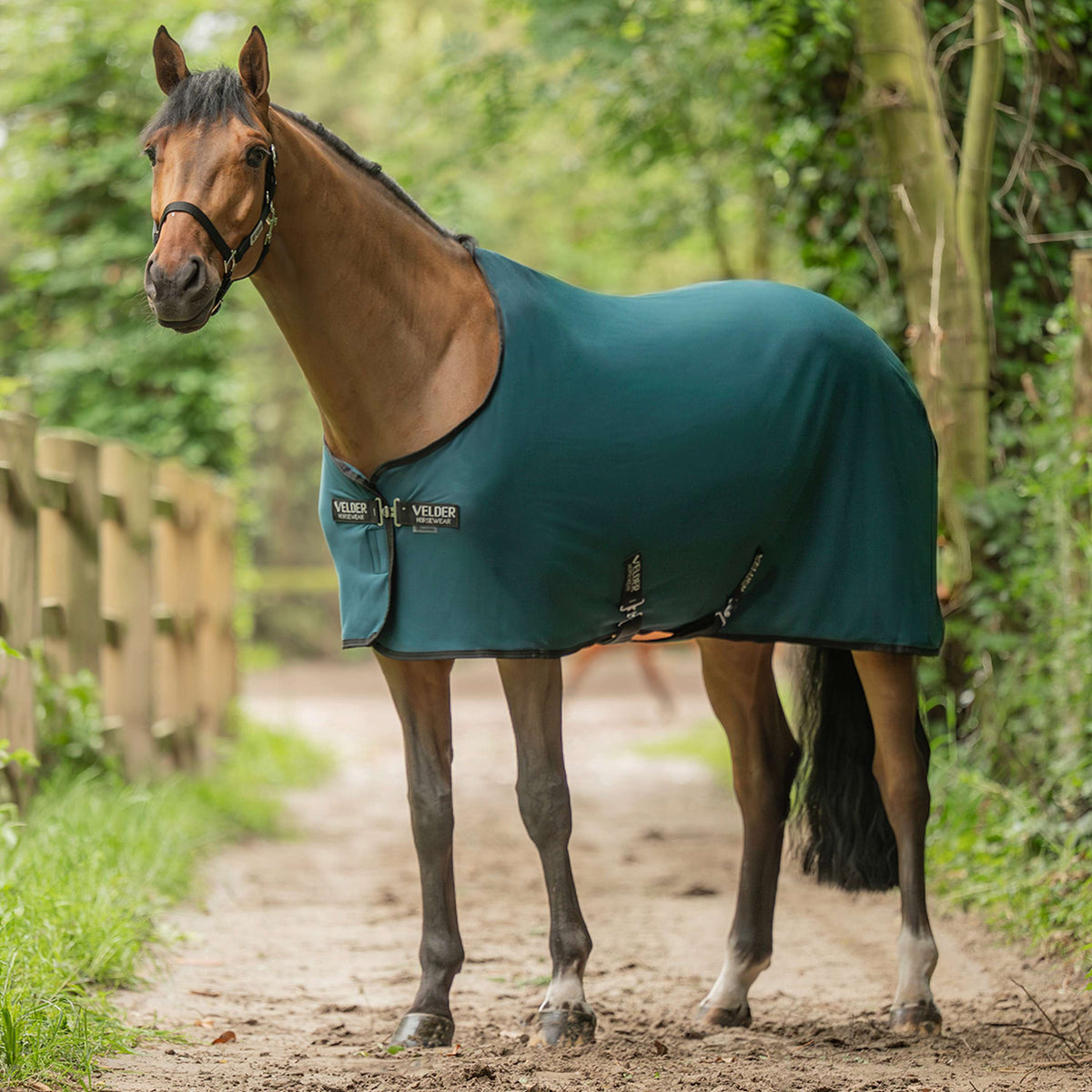 Velder Horsewear Essentials Cooler Rug Emerald Green