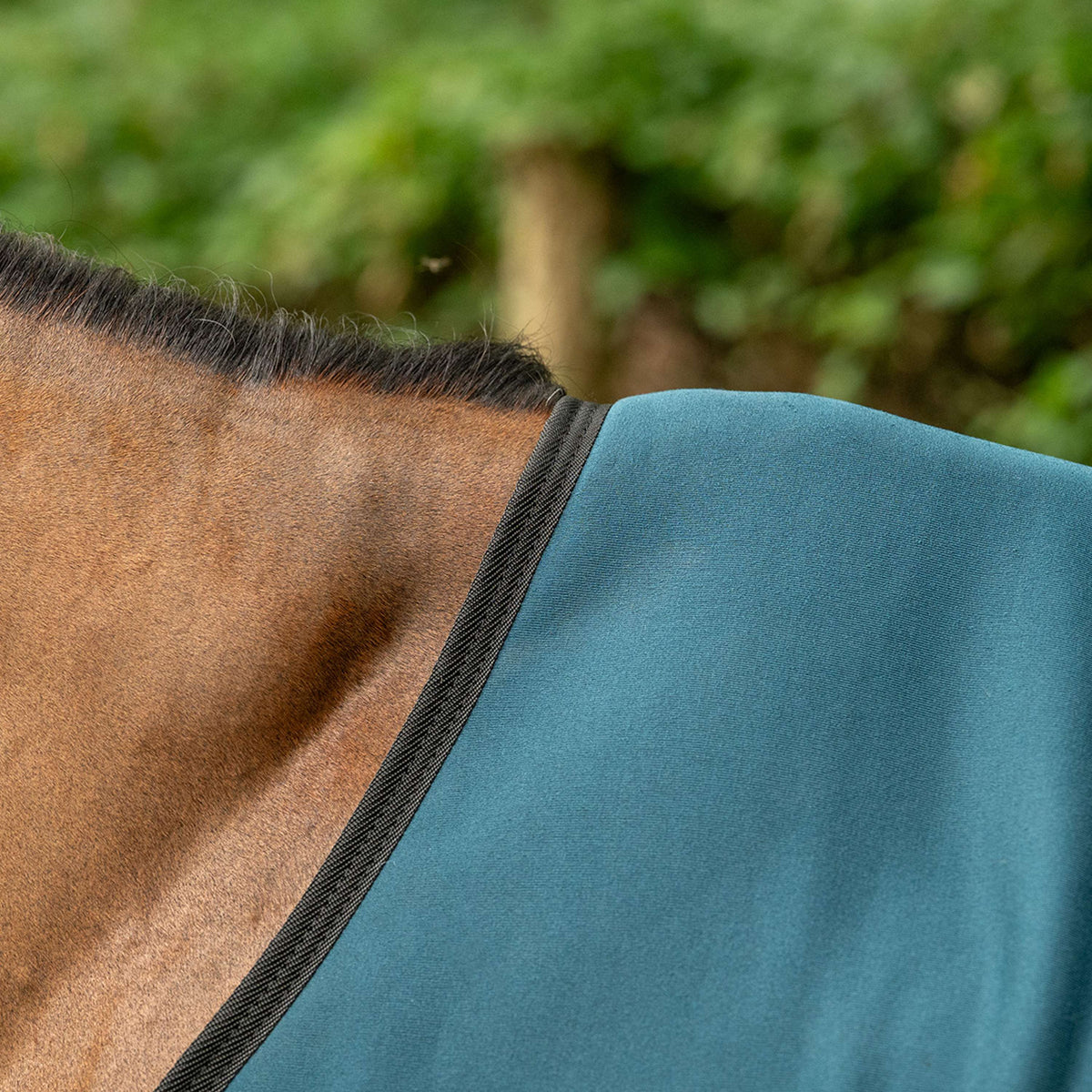Velder Horsewear Essentials Cooler Rug Emerald Green