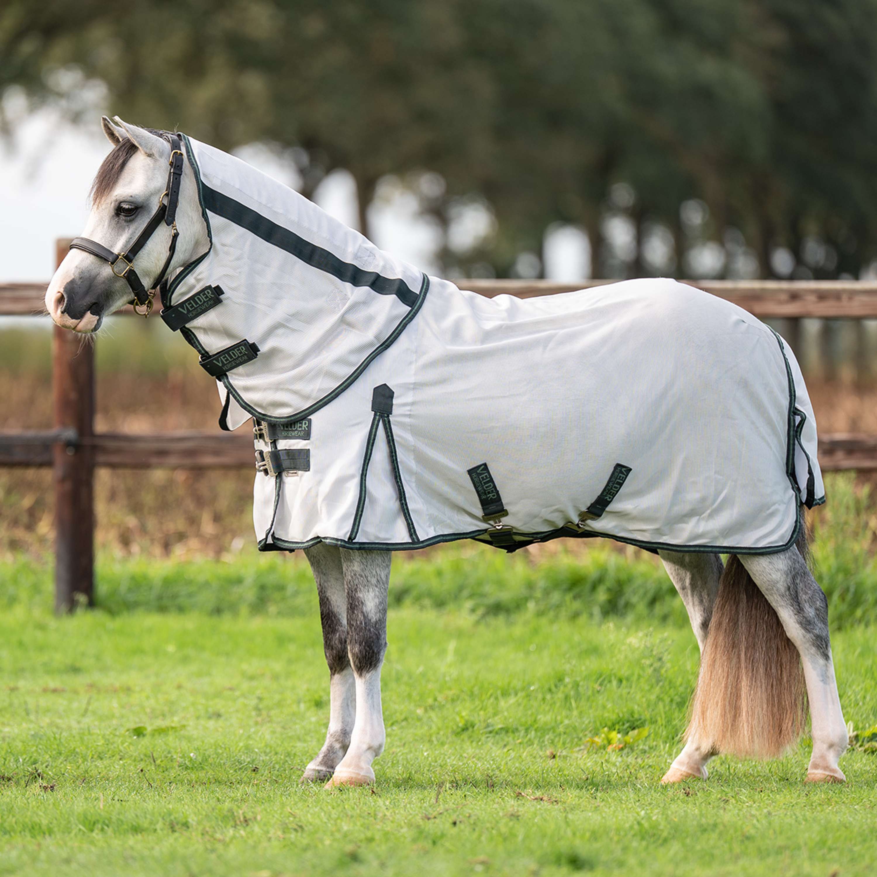 Velder Horsewear Premium Pony Vliegendeken Guardian AirMesh Silver Mist