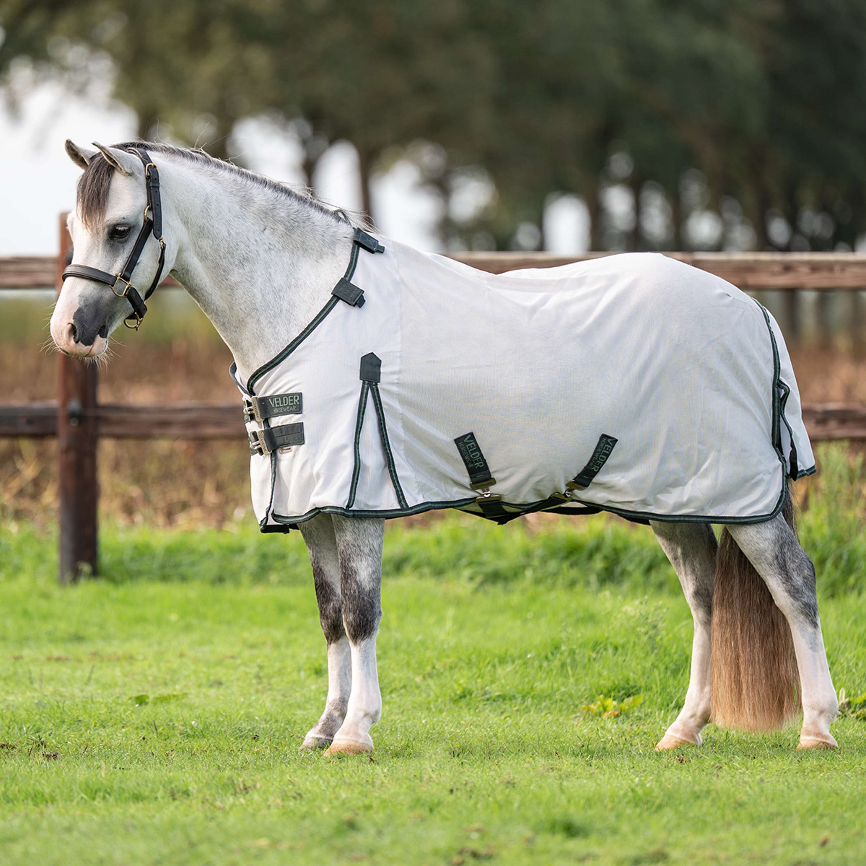 Velder Horsewear Premium Pony Vliegendeken Guardian AirMesh Silver Mist