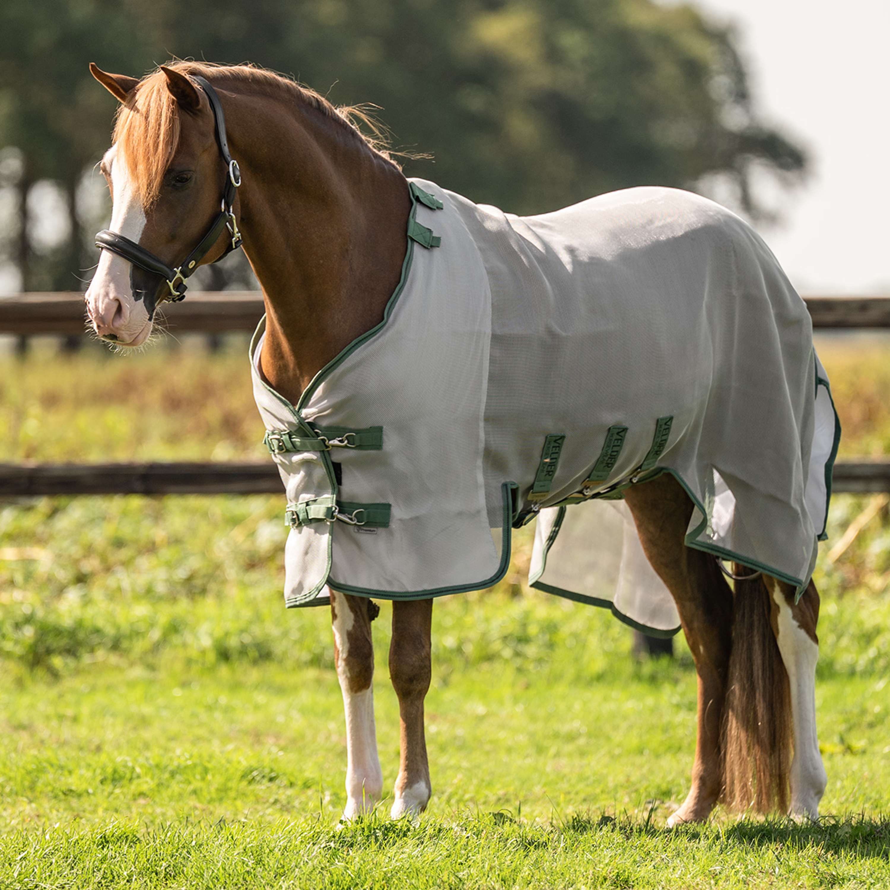 Velder Horsewear Premium Pony Insect Guard Plus Zilver
