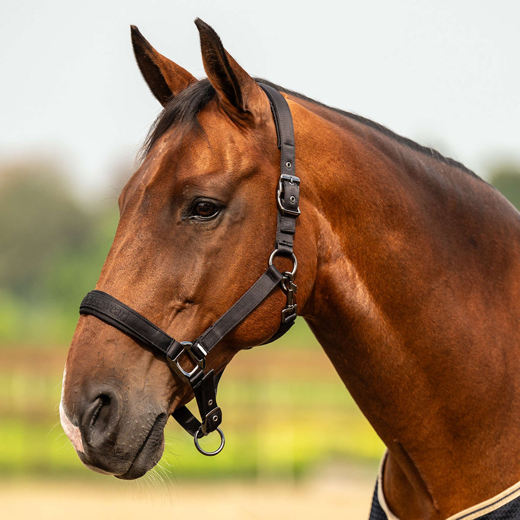 Velder Horsewear Premium Halster Satin Glow Zwart