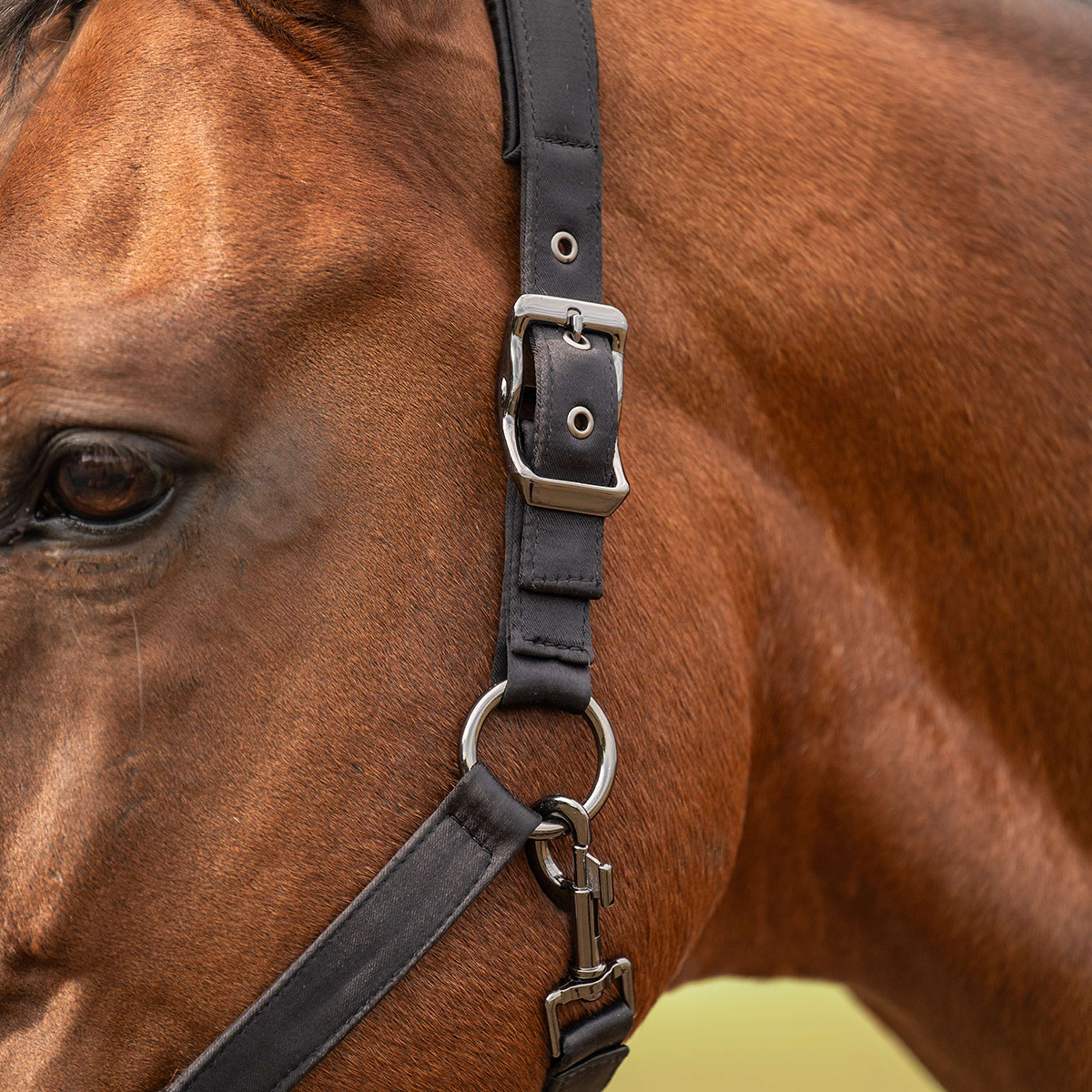 Velder Horsewear Premium Halster Satin Glow Zwart