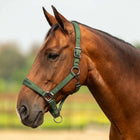 Velder Horsewear Premium Halster Satin Glow Olive Mist