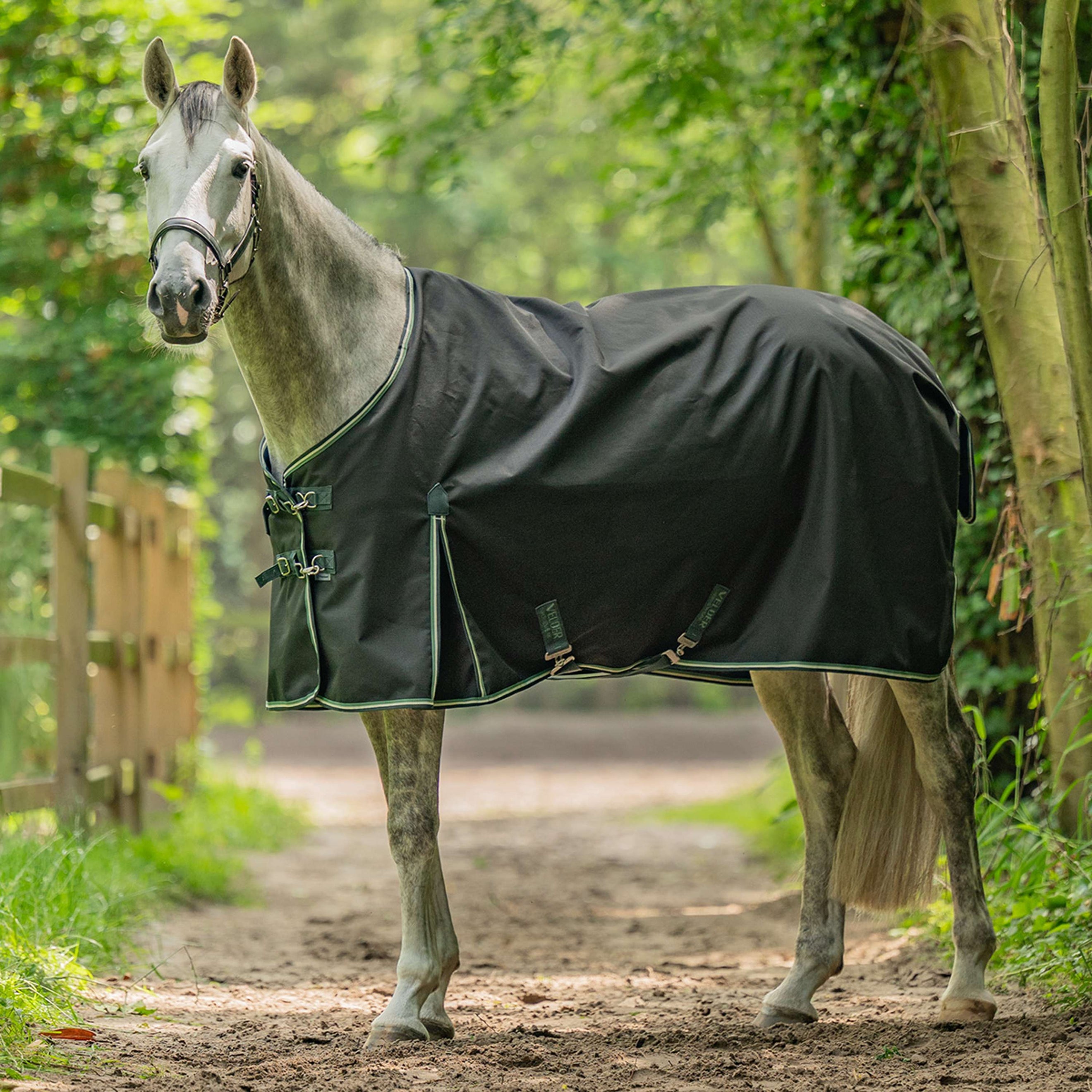 Velder Horsewear Turnout 900D 0g EasyClip Night Forest Velder Horsewear Turnout 900D 0g EasyClip Night Forest