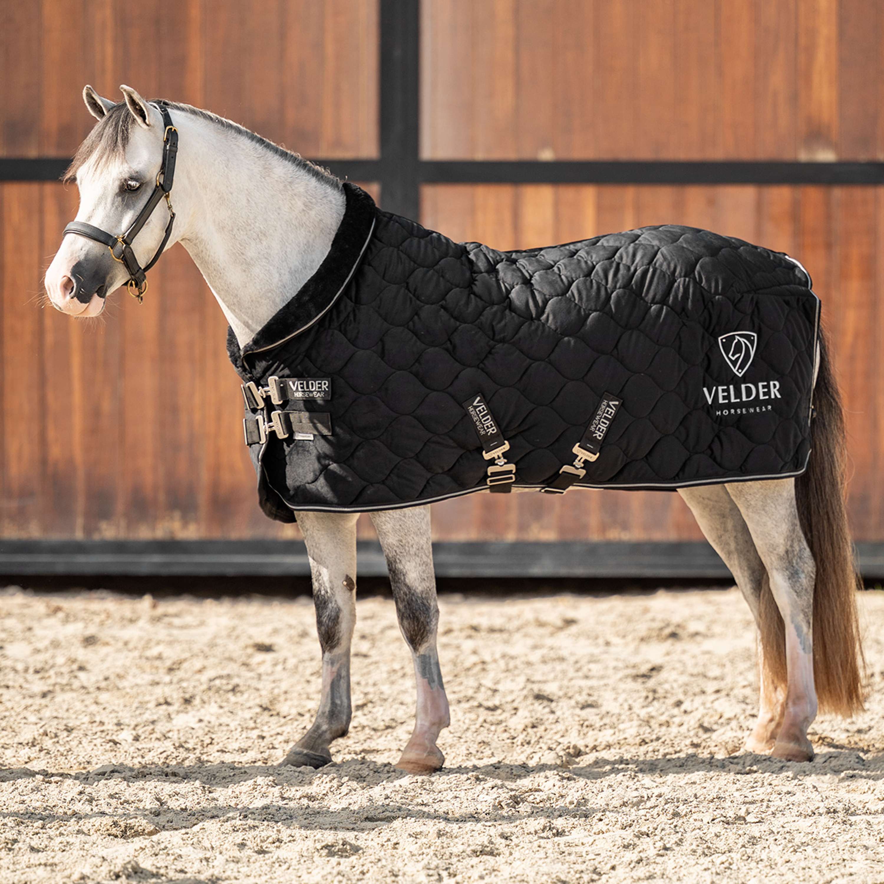 Velder Horsewear Premium Pony Showdeken Satin Glow Black Night