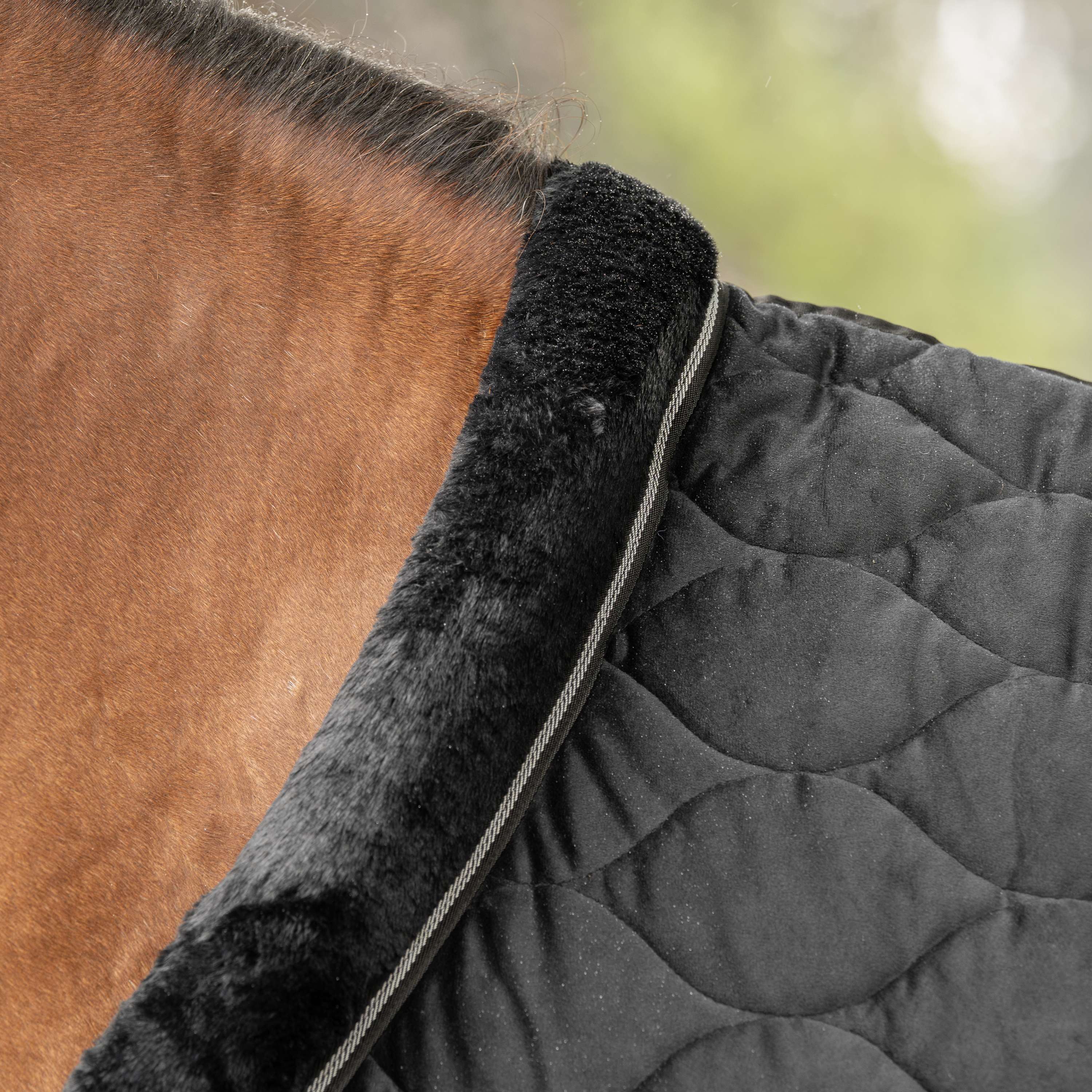 Velder Horsewear Premium Pony Showdeken Satin Glow Black Night