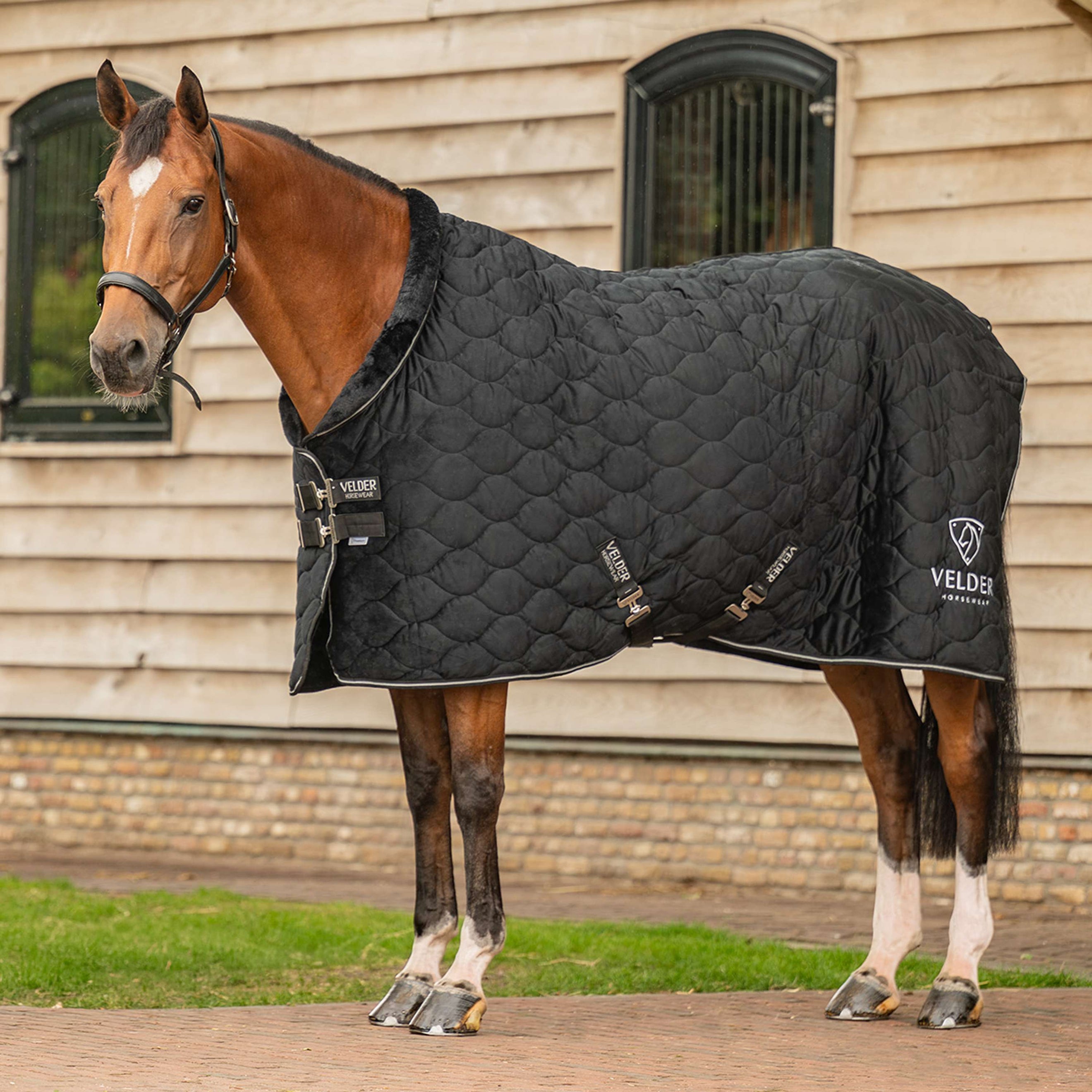 Velder Horsewear Premium Showdeken Satin Glow Black Night