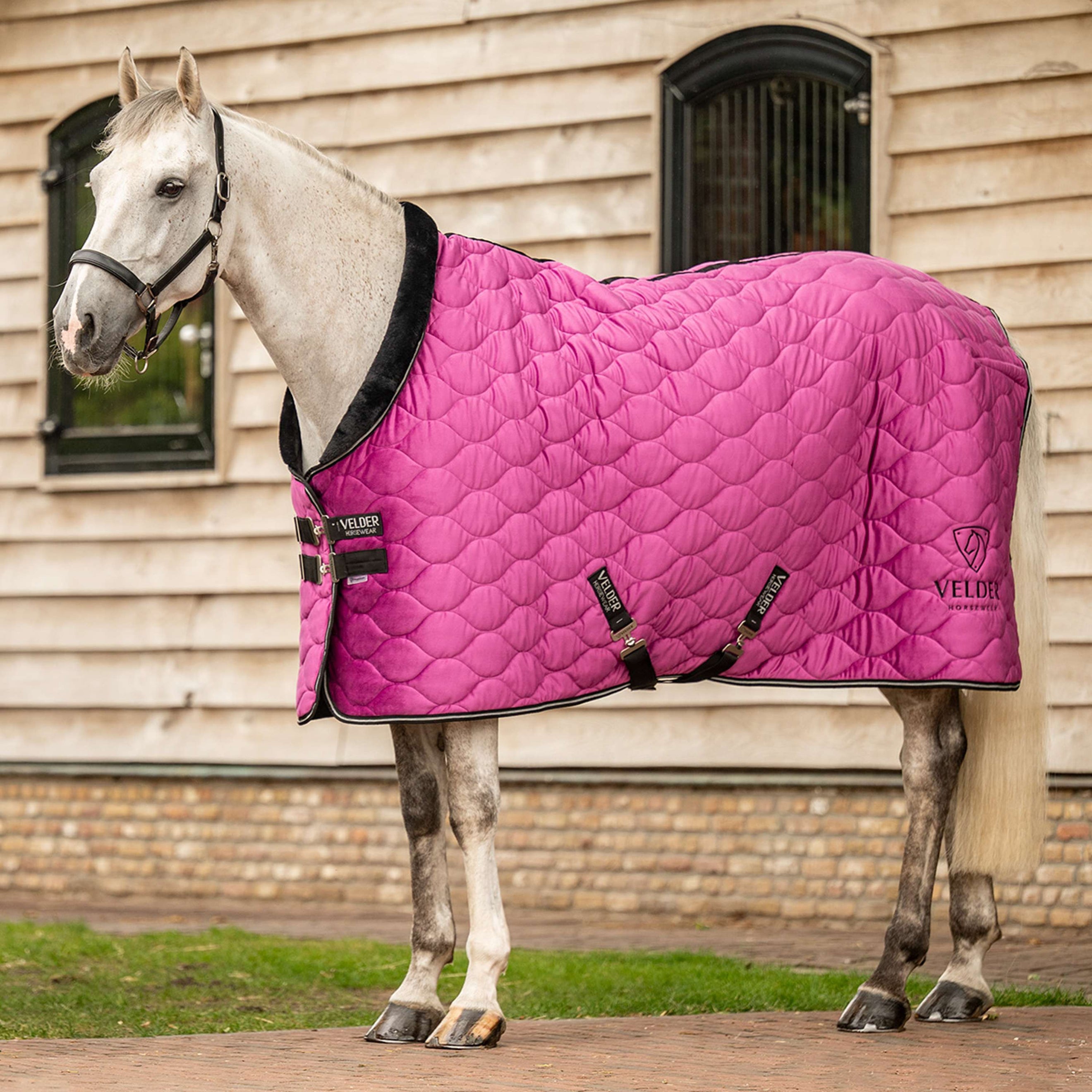 Velder Horsewear Premium Showdeken Satin Glow Dutch Raspberry