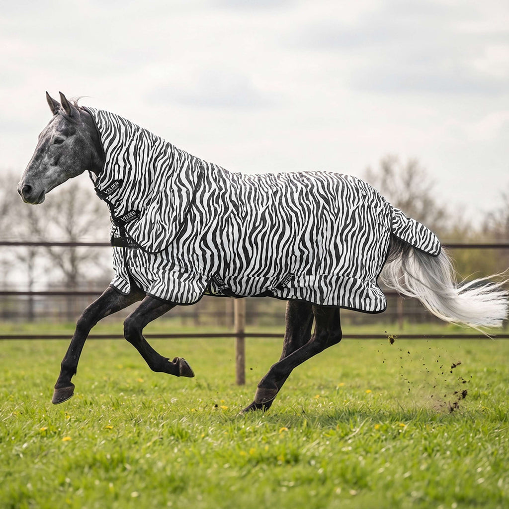 Velder Horsewear Essentials Vliegendeken met Hals Zebra Zwart/Wit