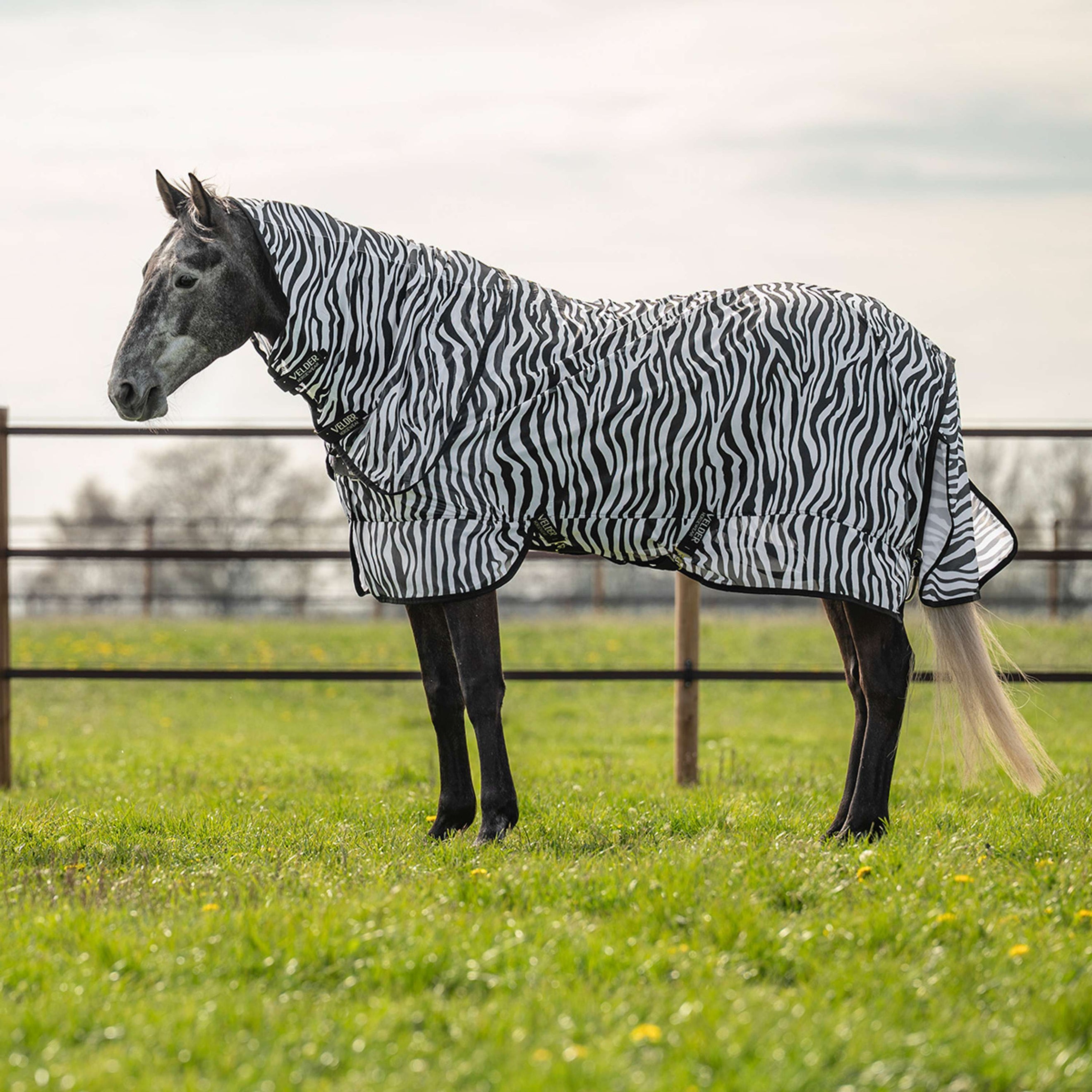 Velder Horsewear Vliegendeken met Hals Zebra Zwart/Wit Velder Horsewear Vliegendeken met Hals Zebra Zwart/Wit