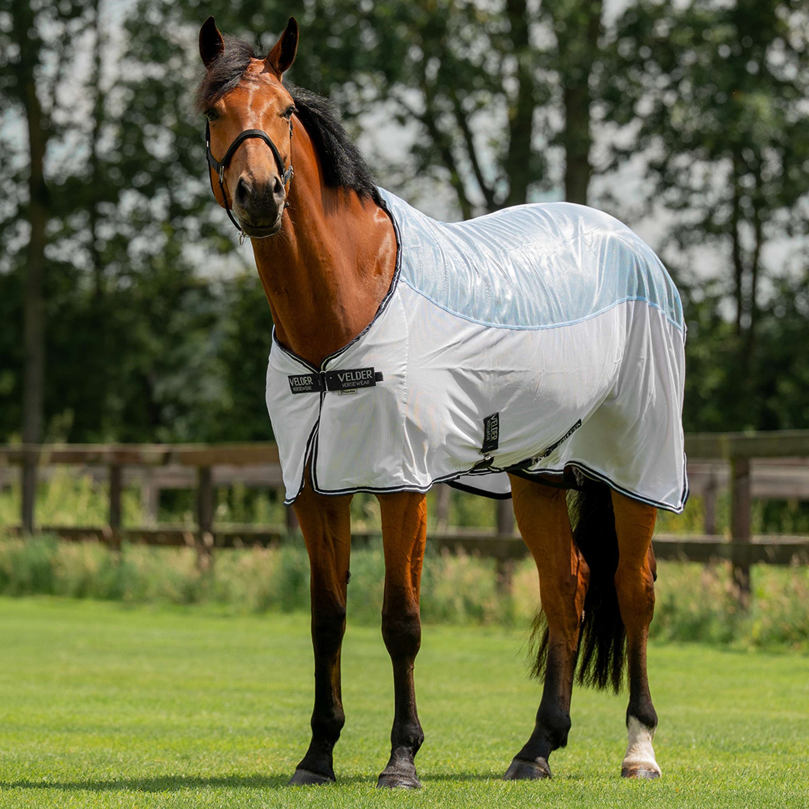 Velder Horsewear Essentials Vliegendeken Blush Blue