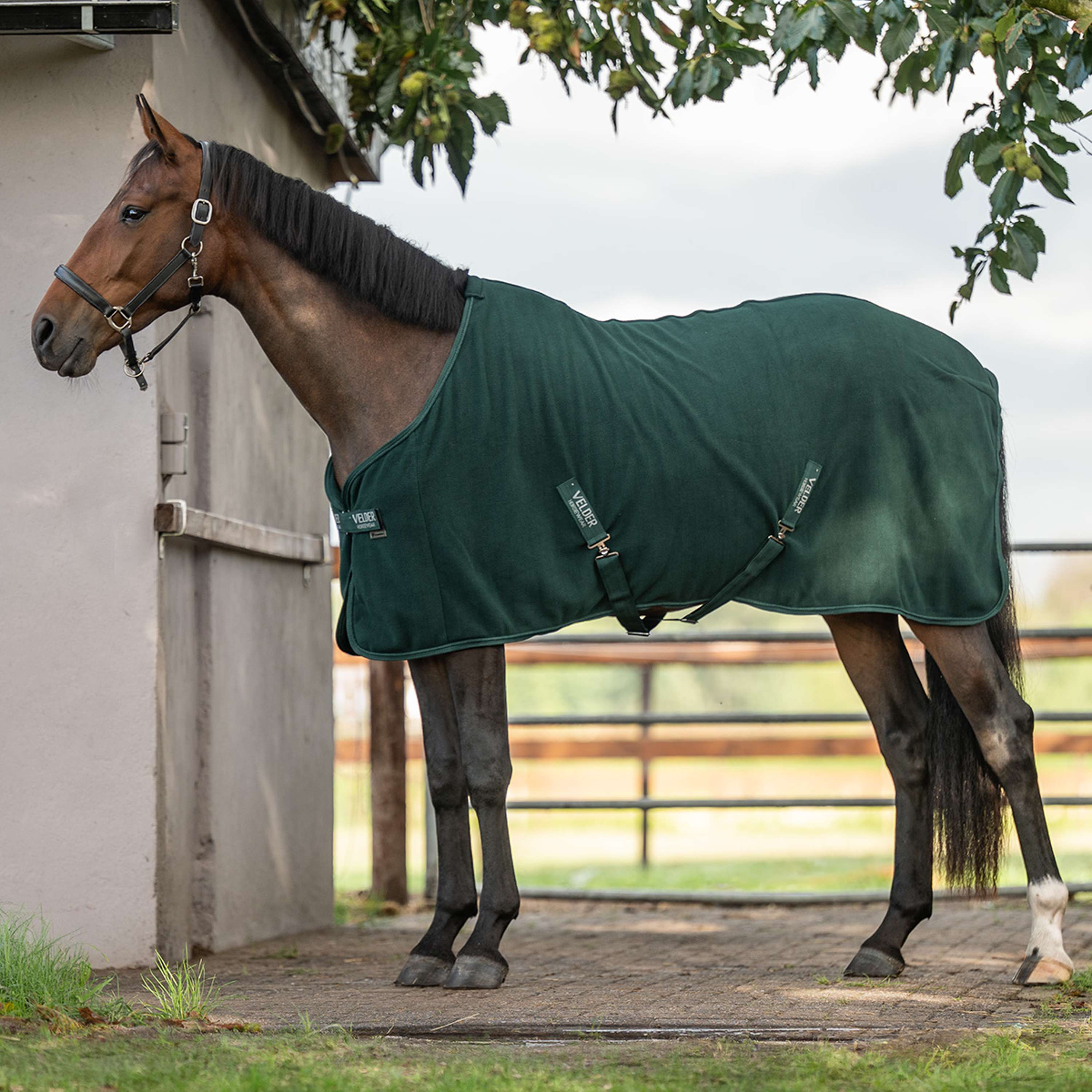 Velder Horsewear Essentials Fleecedeken Comfy Groen