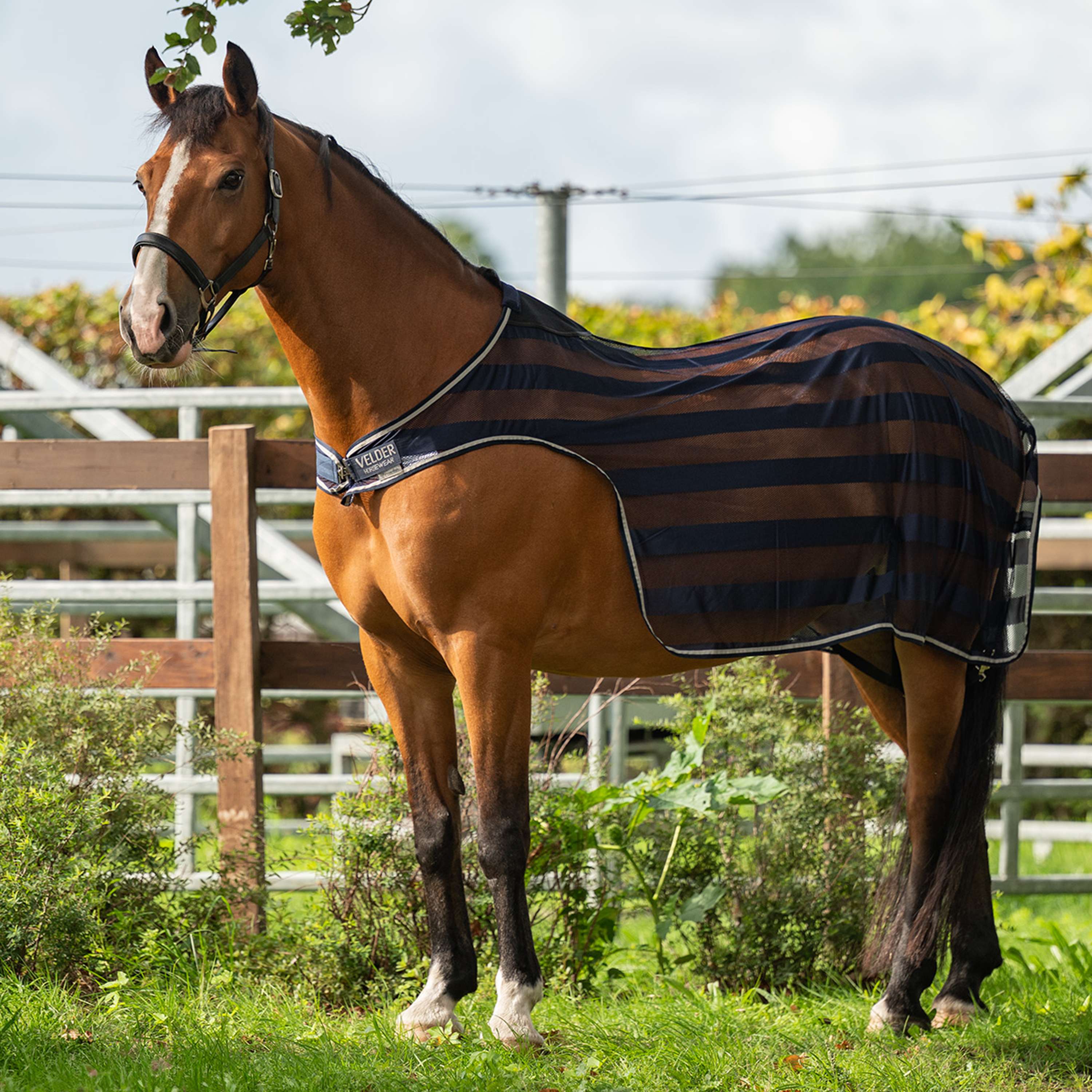 Velder Horsewear Essentials Stapmolendeken Navy